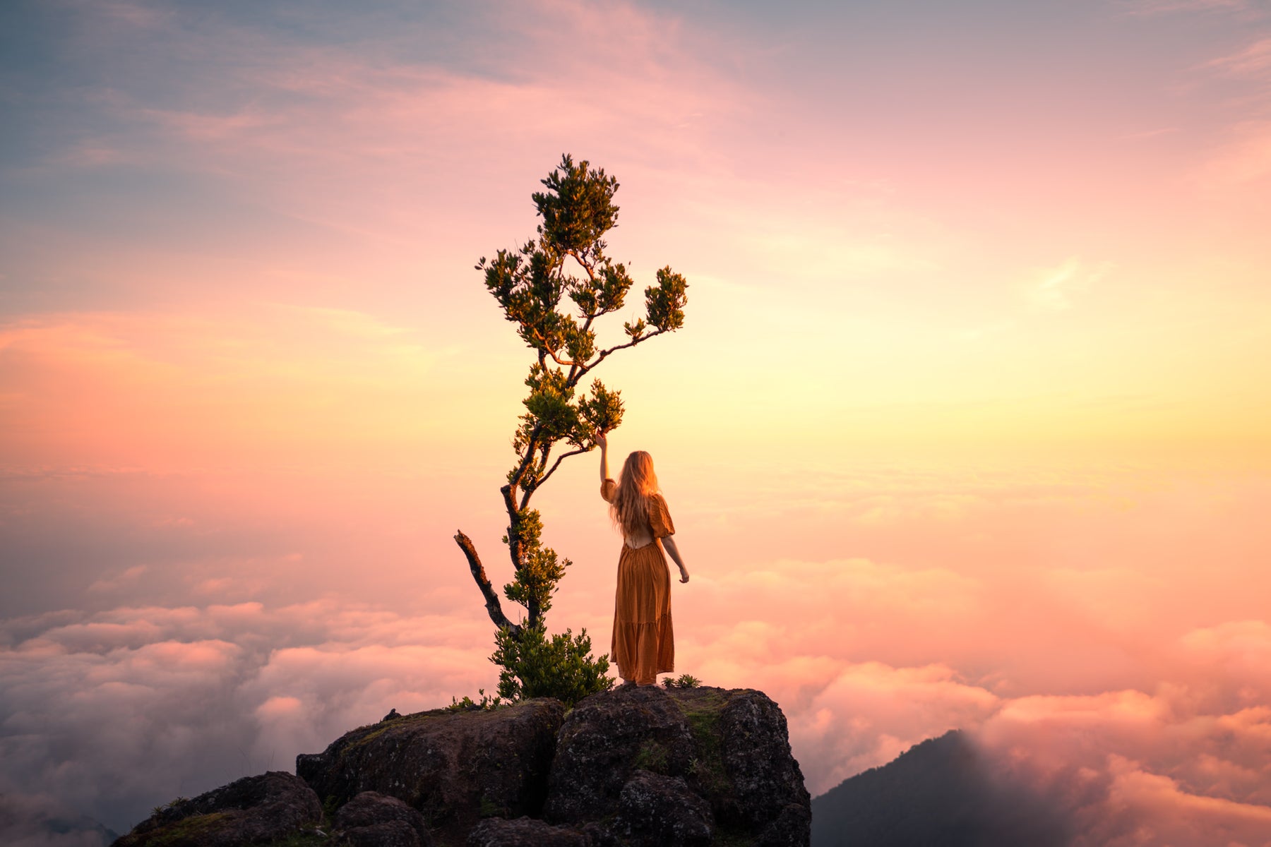 jpg/Alpha-Universe-WIMB-Lizzy-Gadd-15-1200_boundsisewk5.jpg?height=1200&fit=bounds