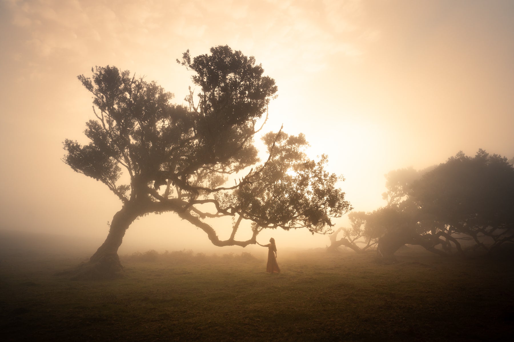 jpg/Alpha-Universe-WIMB-Lizzy-Gadd-18-1200_boundszwwsik.jpg?height=1200&fit=bounds