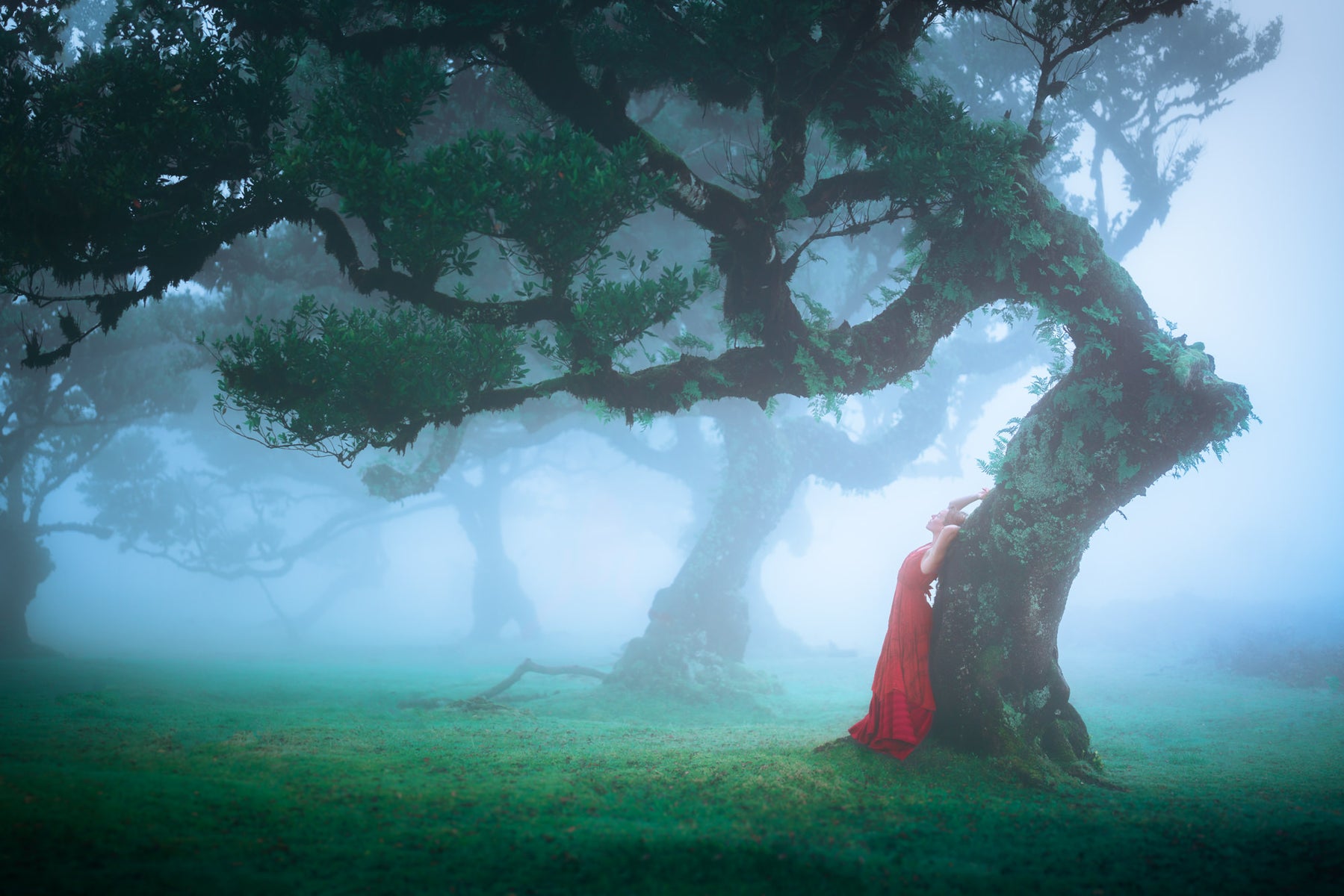 jpg/Alpha-Universe-WIMB-Lizzy-Gadd-19-1200_bounds1mea8g.jpg?height=1200&fit=bounds
