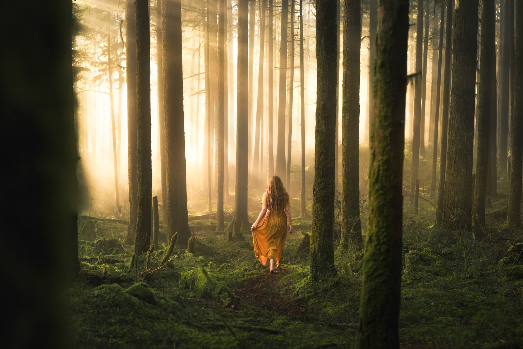 jpg/Alpha-Universe-WIMB-Lizzy-Gadd-3-1200_boundsjz0ybx.jpg?height=1200&fit=bounds