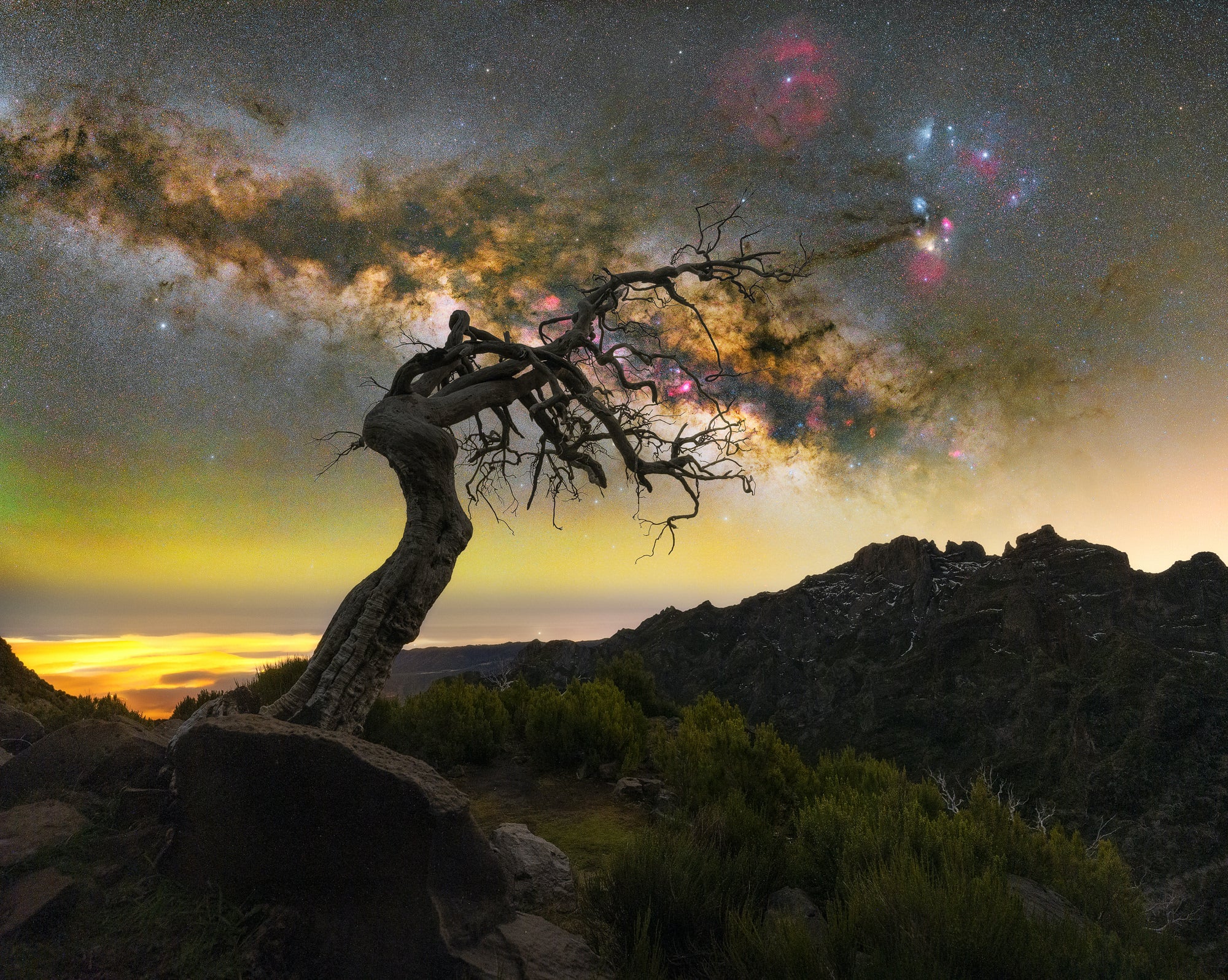 Photo by Lorenzo Ranieri Tenti. Sony Alpha 7S. Sony 20mm f/1.8 G. 20-sec., f/2.2, ISO 6400.