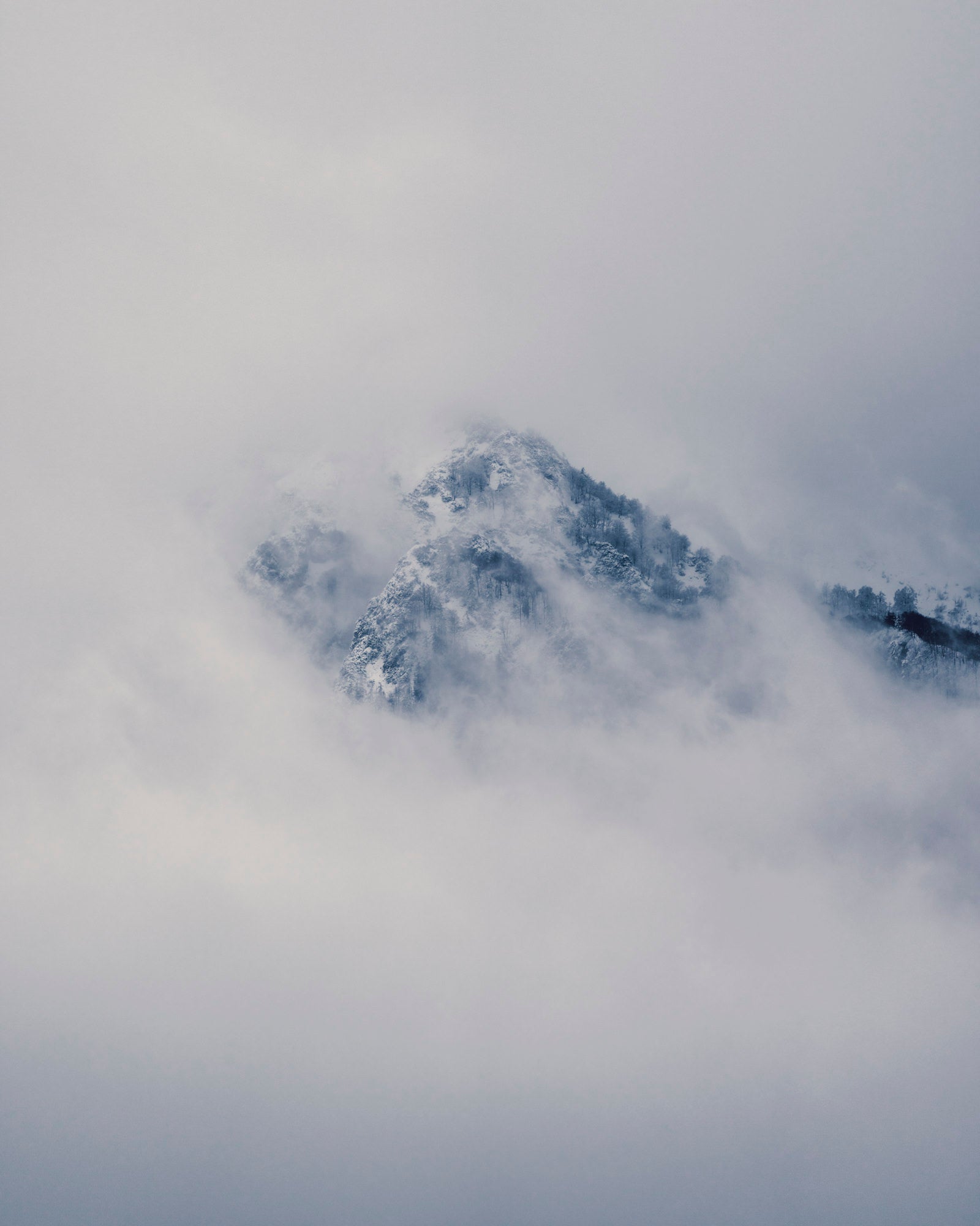 Photo by Manuel Polak. Sony Alpha 1. Sony 70-200mm f/2.8 G Master II. 1/1250-sec., f/2.8, ISO 100
