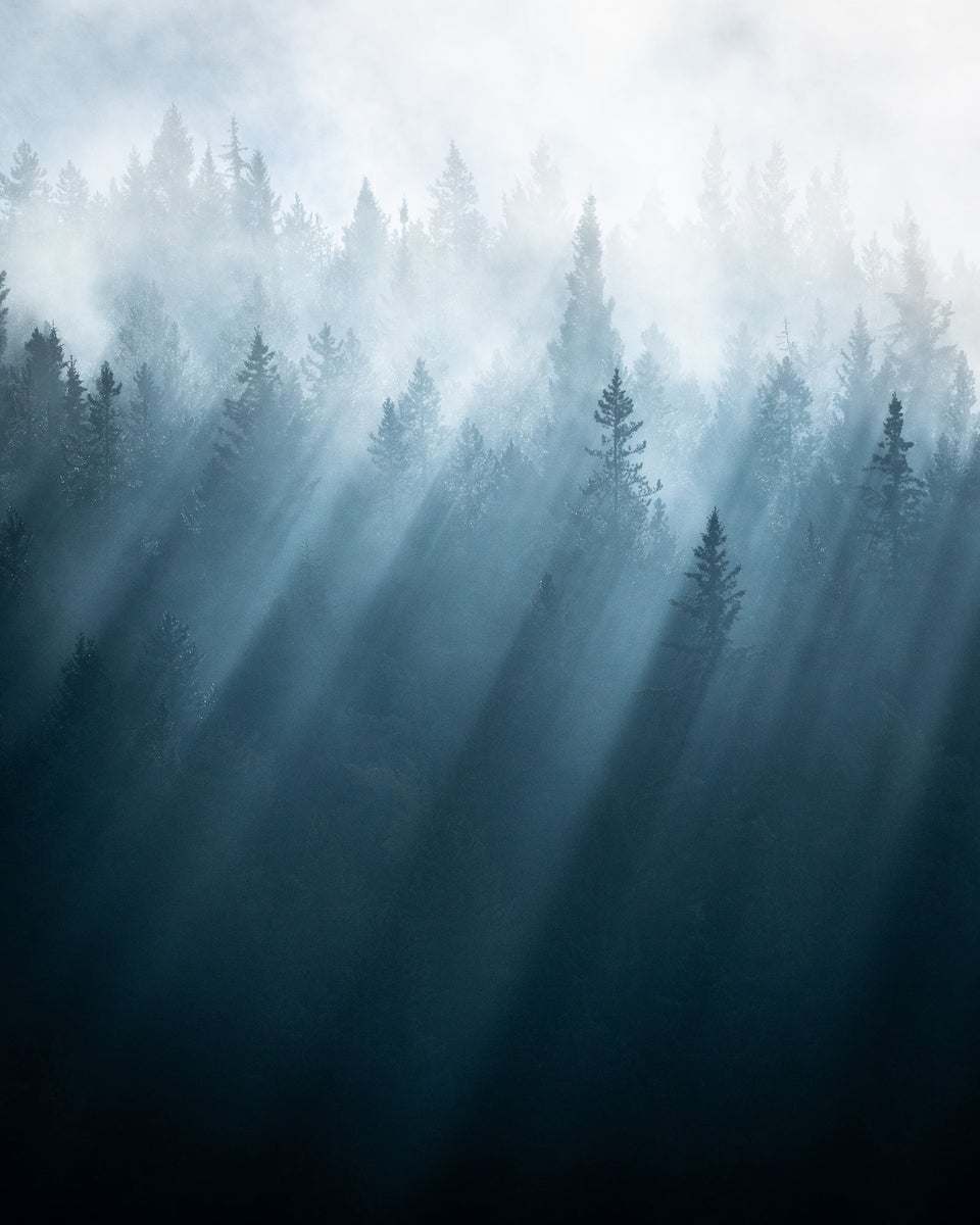 jpg/Alpha-Universe-WIMB-Michael-Hollender-BanffBeamsLayers-1200_boundseb7ct7.jpg?height=1200&fit=bounds