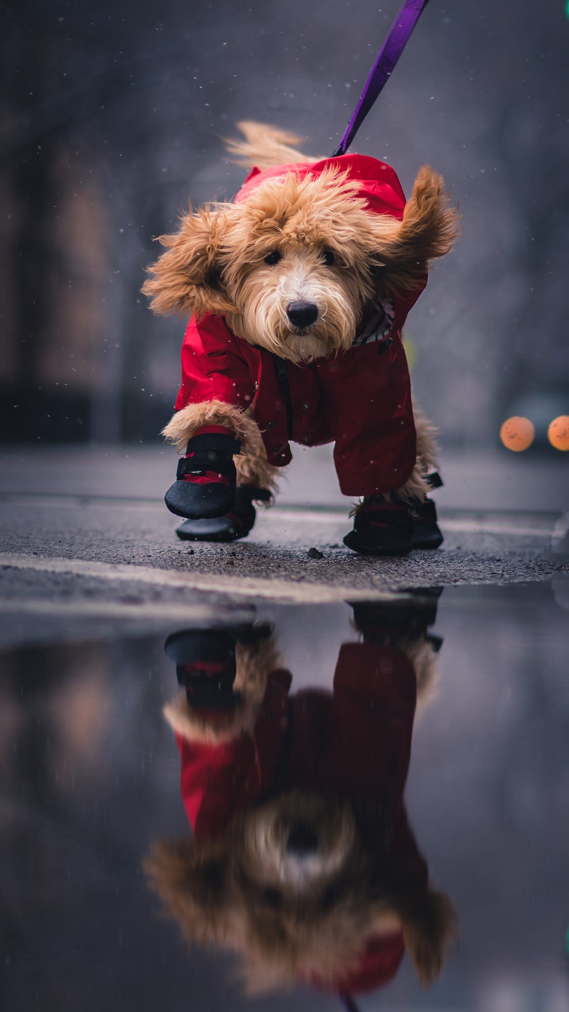 Photo by Mike Meyers. Sony Alpha 1. Sony 85mm f/1.8. 1/800-sec., f/2, ISO 100