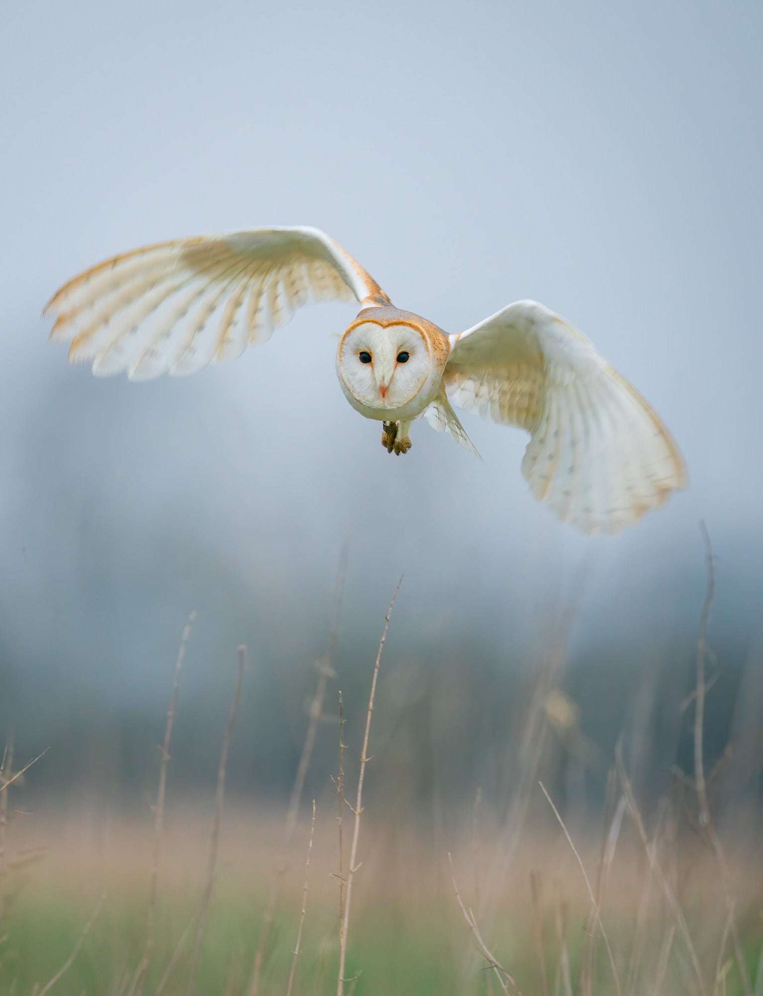 Photo by Nathan & Jess Jones. Sony Alpha 7R IV. Sony 400mm f/2.8 G Master. 1/1000-sec., f/4, ISO 800