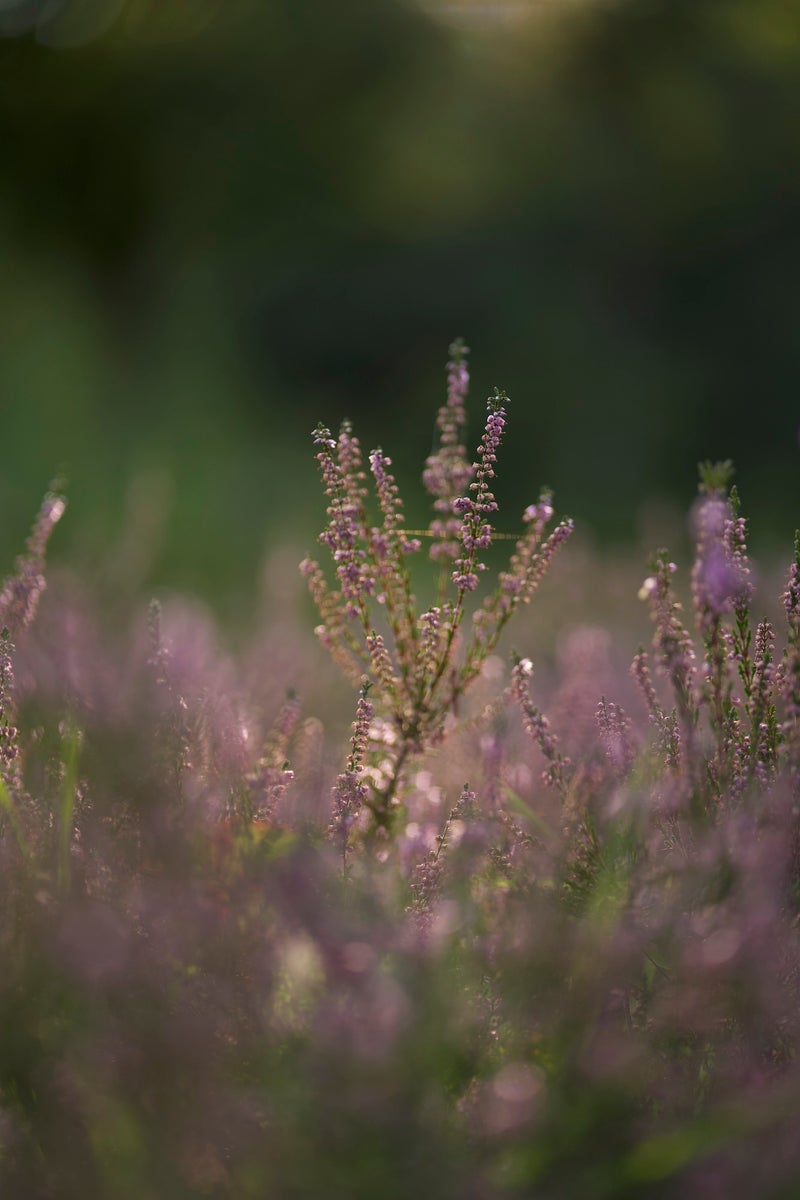 jpg/Alpha-Universe-WIMB-Olivia-Rosendahl-14-1200_boundsawpmup.jpg?height=1200&fit=bounds