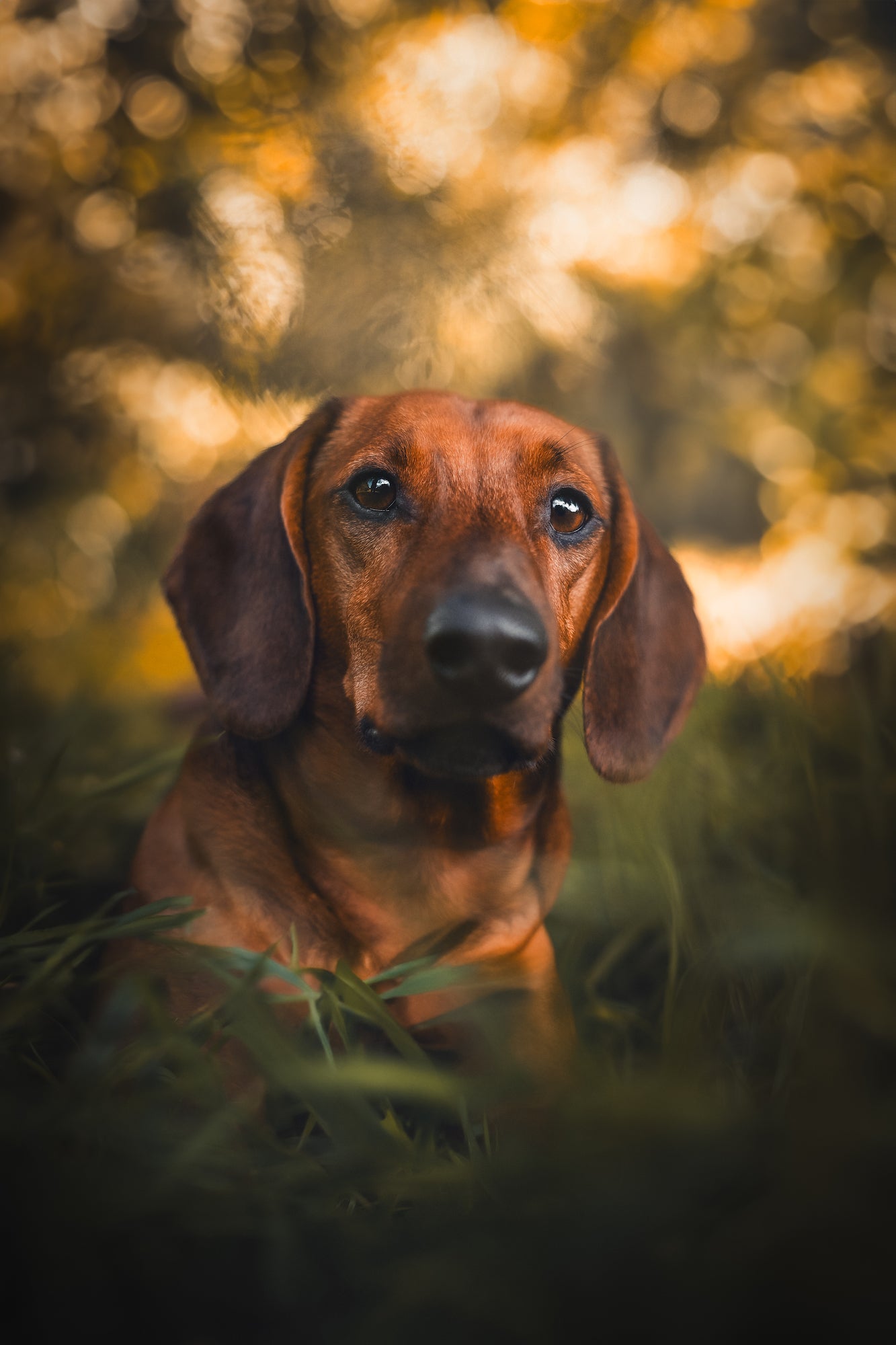 Photo by Olivia Rosendahl. Sony Alpha 7 III. Sony 50mm f/1.8. 1/3200-sec., f/1.8, ISO 200