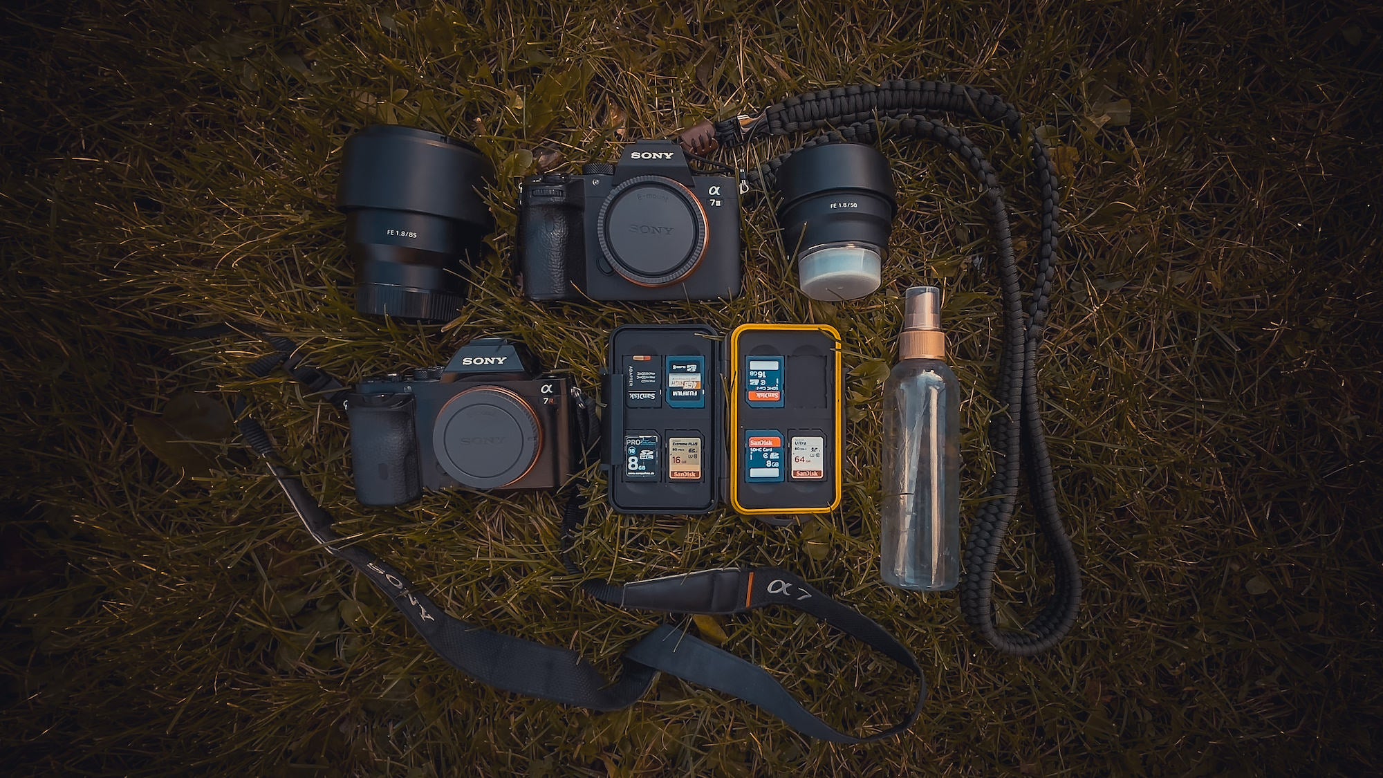 Olivia Rosendahl's photography kit