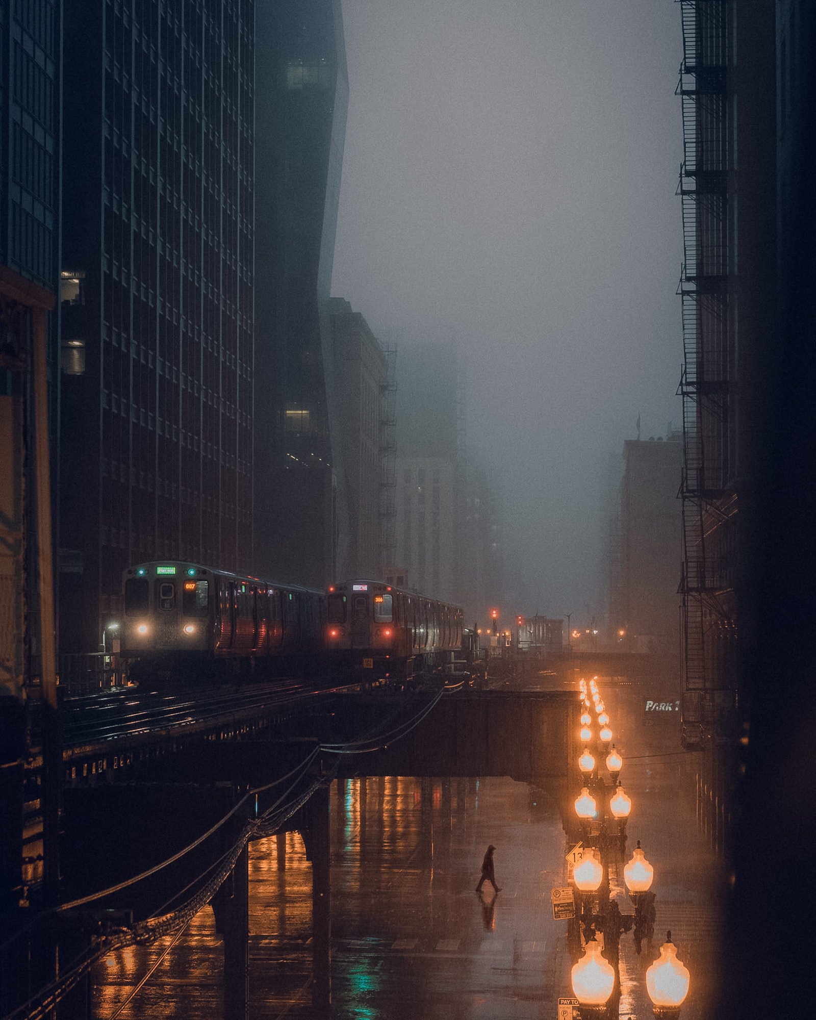 Photo by Peter Kalnbach. Sony Alpha 7 IV. Sony 50mm f/1.8. 1/125-sec., f/2.8, ISO 500