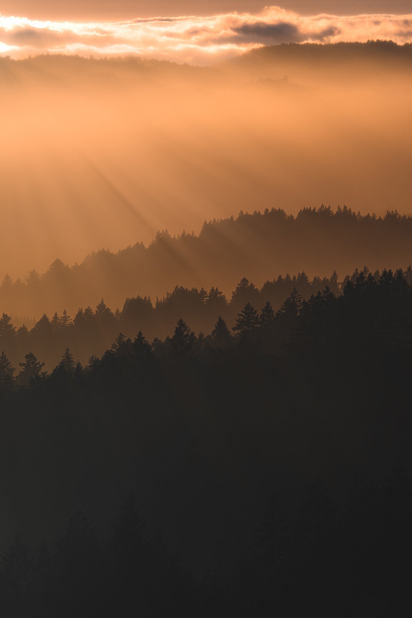 Photo by Rachel Jones. Sony Alpha 7R III. Sony 70-200mm f/2.8 G Master. 1/400-sec., f/9, ISO 100
