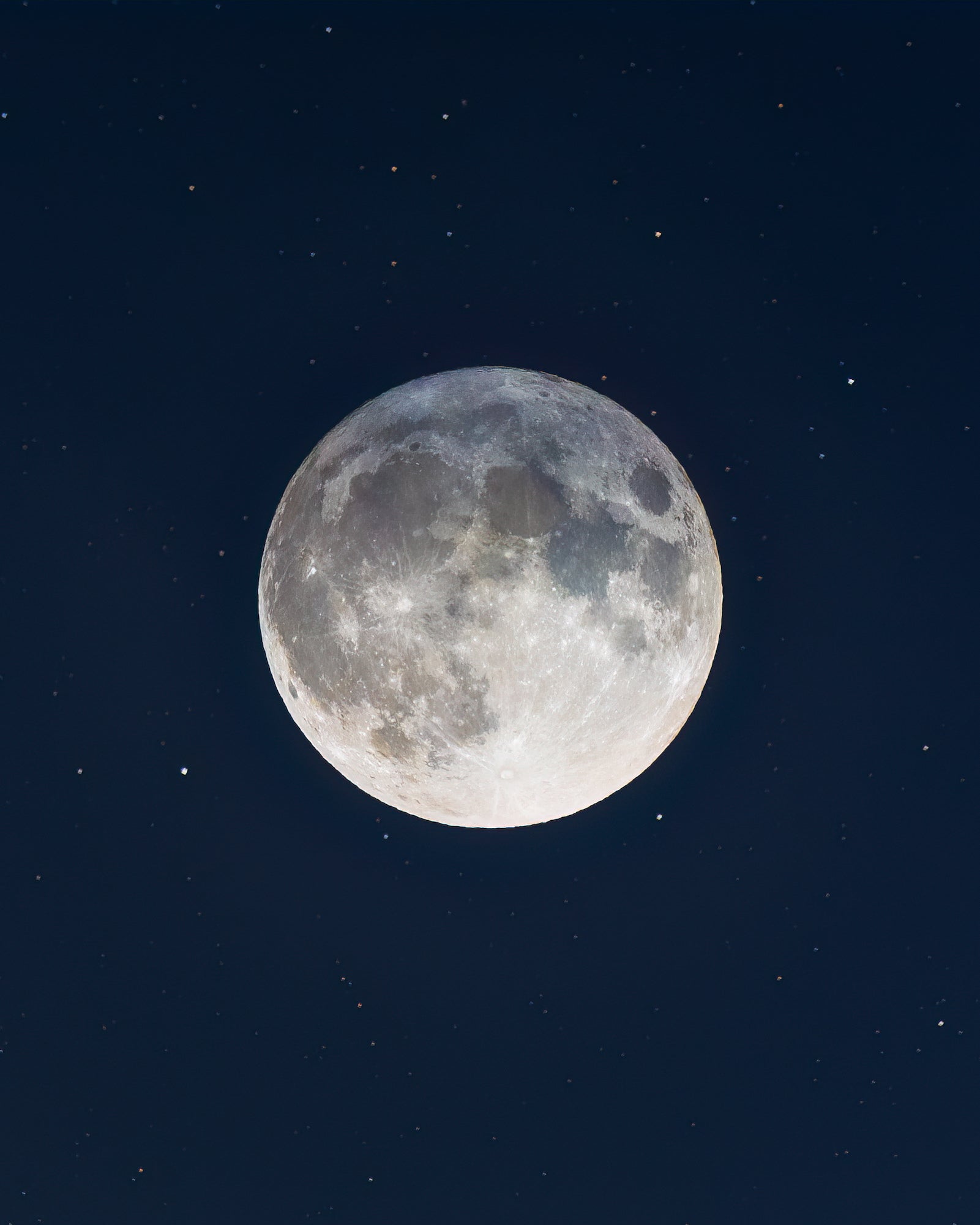 Photo by Rohit Gomashe. Sony Alpha 7R III. Sony 100-400mm f/4.5 G Master, 1/500 sec., f/5.6, ISO 400