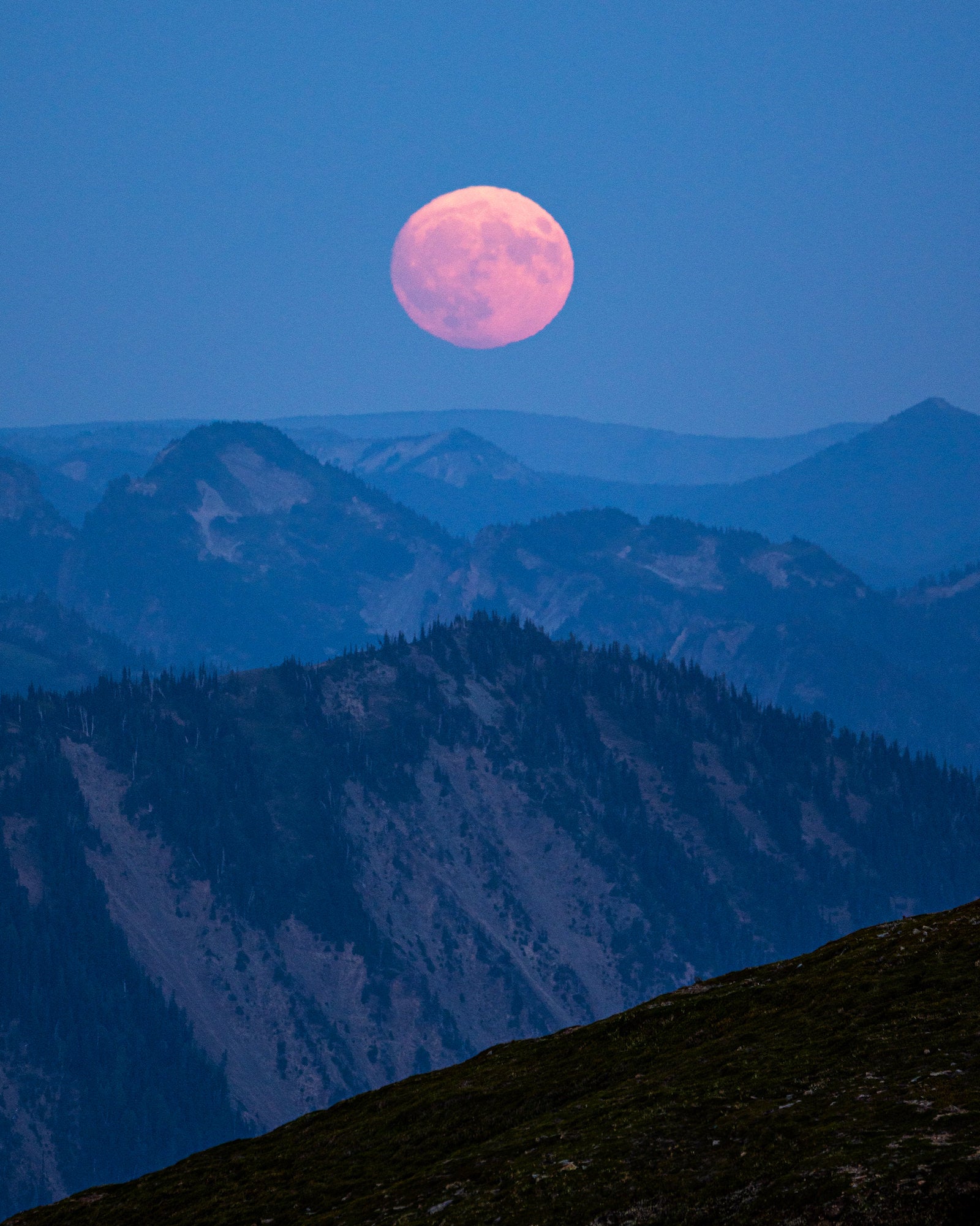 Photo by Rohit Gomashe. Sony Alpha 7R III. Sony 100-400mm f4.5 G Master, 1/80 sec., f5.6, ISO 160