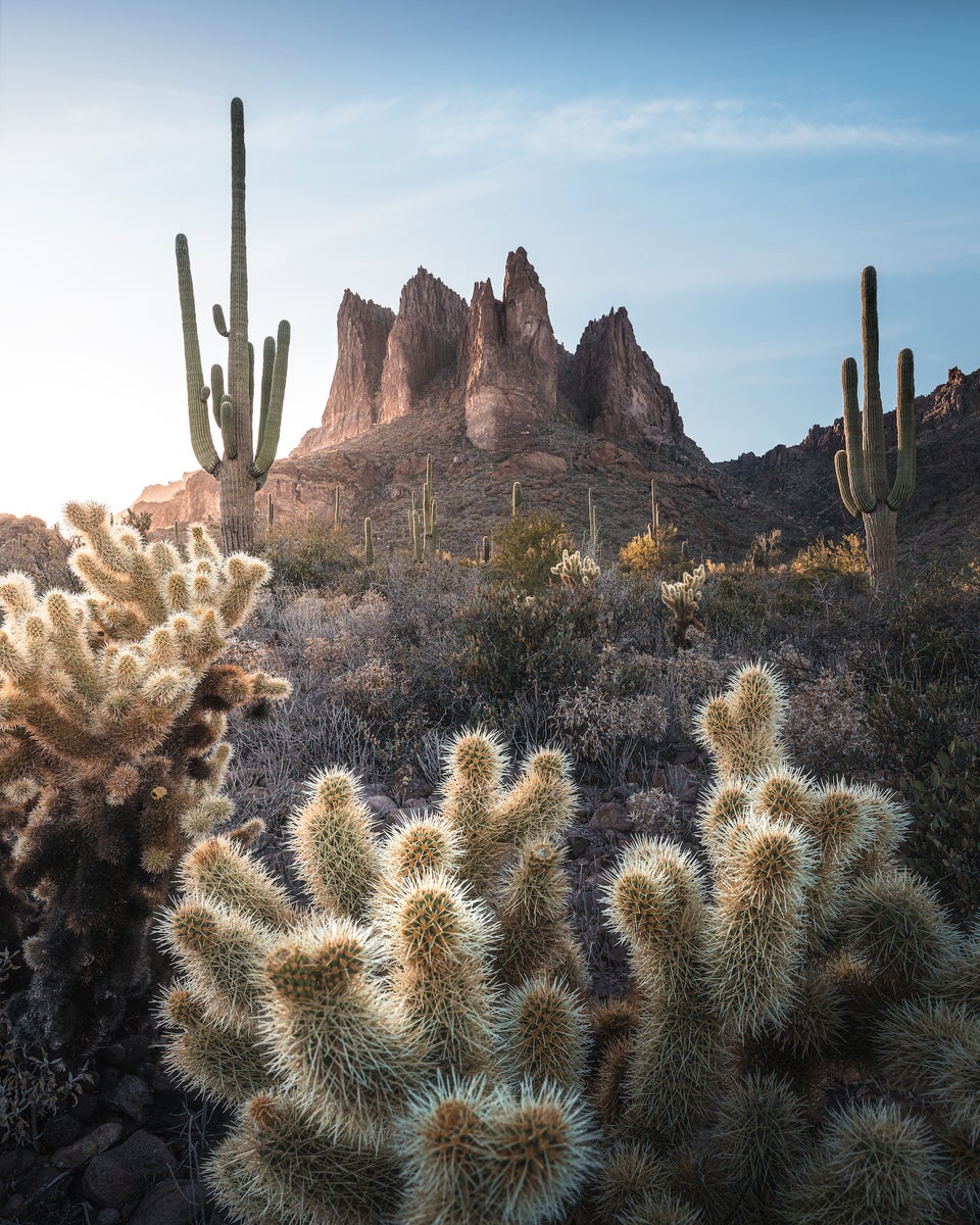 jpg/Alpha-Universe-WIMB-Ryan-Ditch-Arizona_2-1200_bounds1564aq.jpg?height=1200&fit=bounds