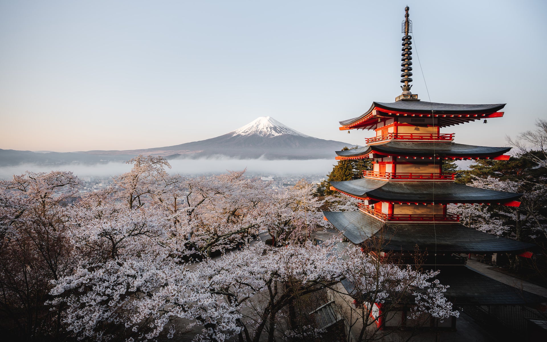 jpg/Alpha-Universe-WIMB-Scott-Howes-Chureito-Pagoda-16-35-1200_boundsgj2rne.jpg?height=1200&fit=bounds