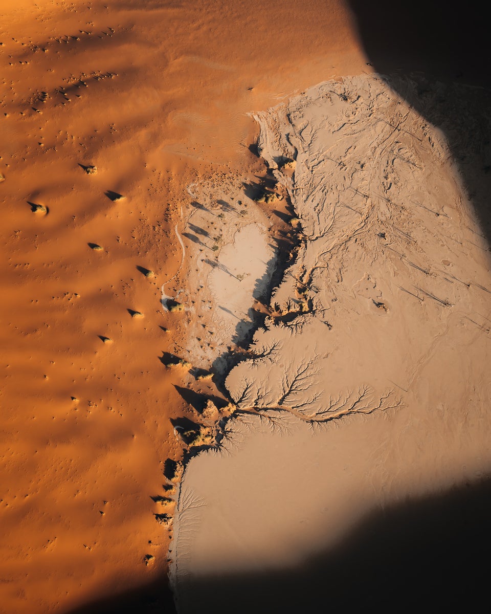 jpg/Alpha-Universe-WIMB-Scott-Howes-Namibian-Desert-textures-1200_boundsn7c3so.jpg?height=1200&fit=bounds