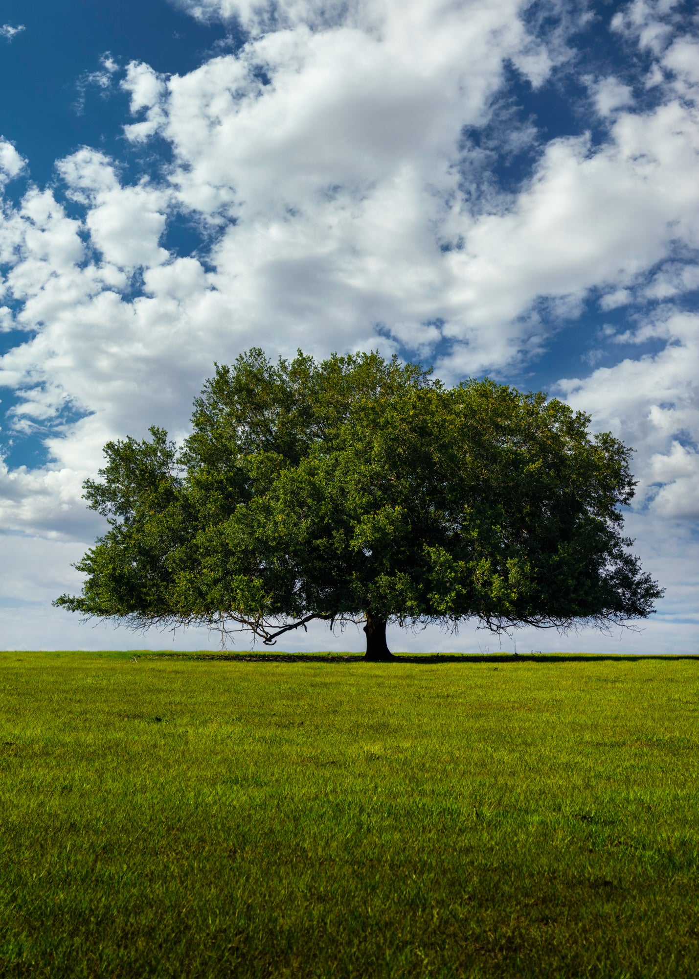 Photo by Shane Garner. Sony Alpha 7 IV. Sony 24-105mm f/4 G. 1/100-sec., f/5.6, ISO 50