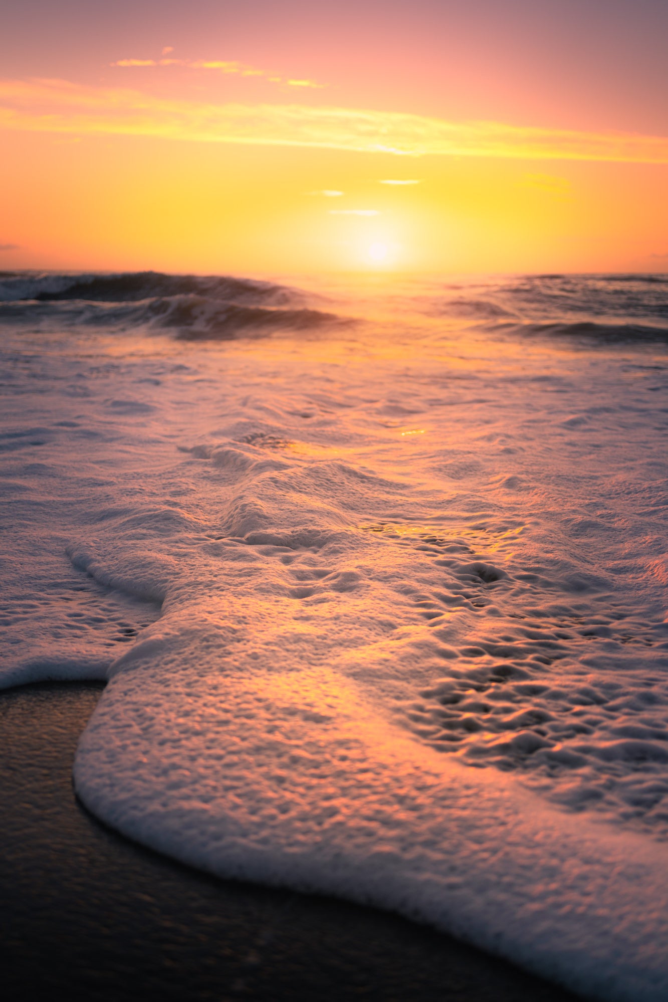 Photo by Shane Garner. Sony Alpha 7 IV. Sony 35mm f/1.8. 1/1000-sec., f/2, ISO 100