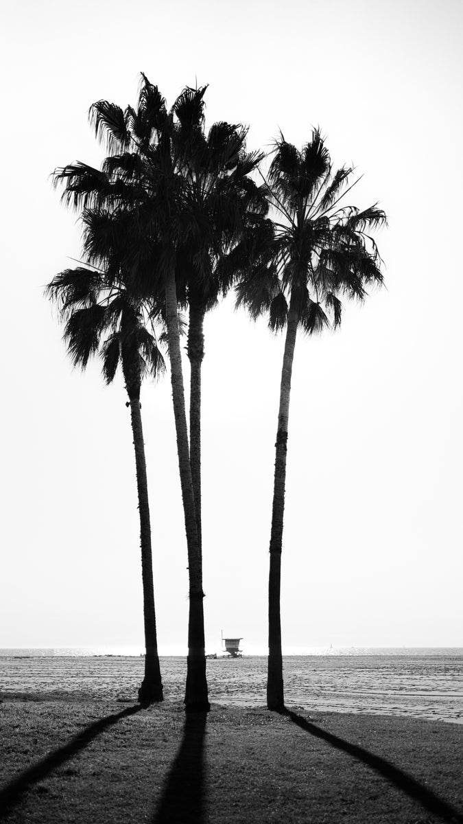 jpg/Alpha-Universe-WIMB-Shane-Garner-35-2-1200_boundsbucdq8.jpg?height=1200&fit=bounds