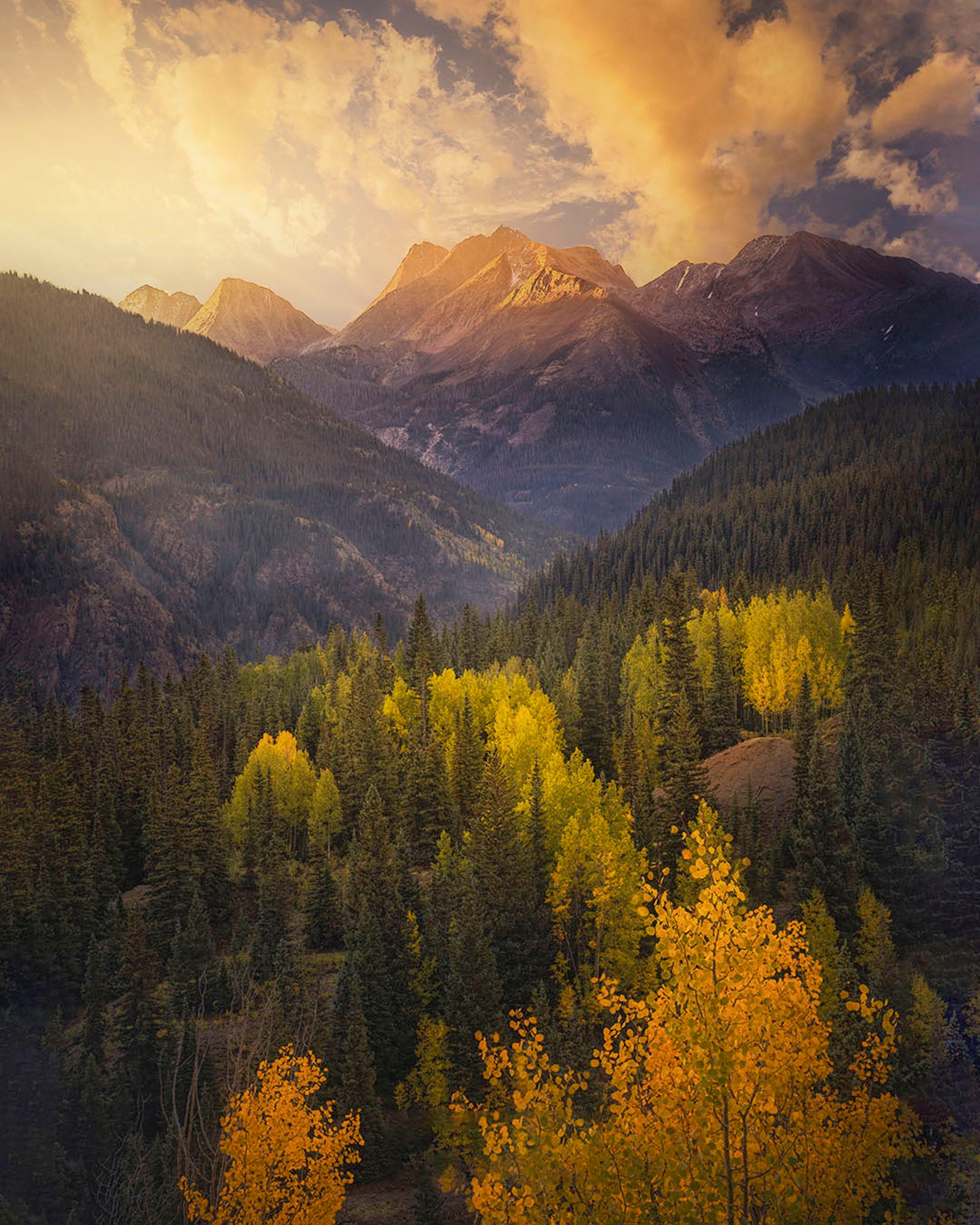 Photo by Steve Hamm. Sony Alpha 7 IV. Sony 70-350mm f/4.5-6.3 G. 1/80-sec, f/5.6, ISO 100