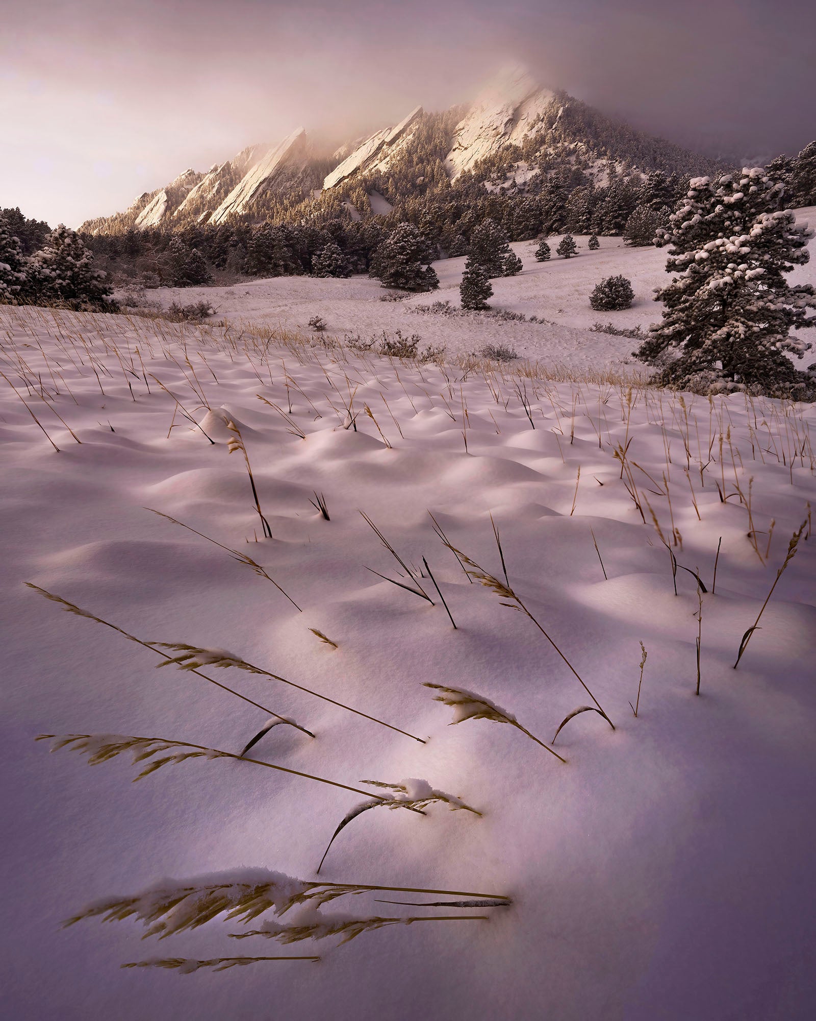 Photo by Steve Hamm. Sony Alpha 7R III. Sony 12-24mm f/2.8 G Master. 1/100-sec., f/11, ISO 100