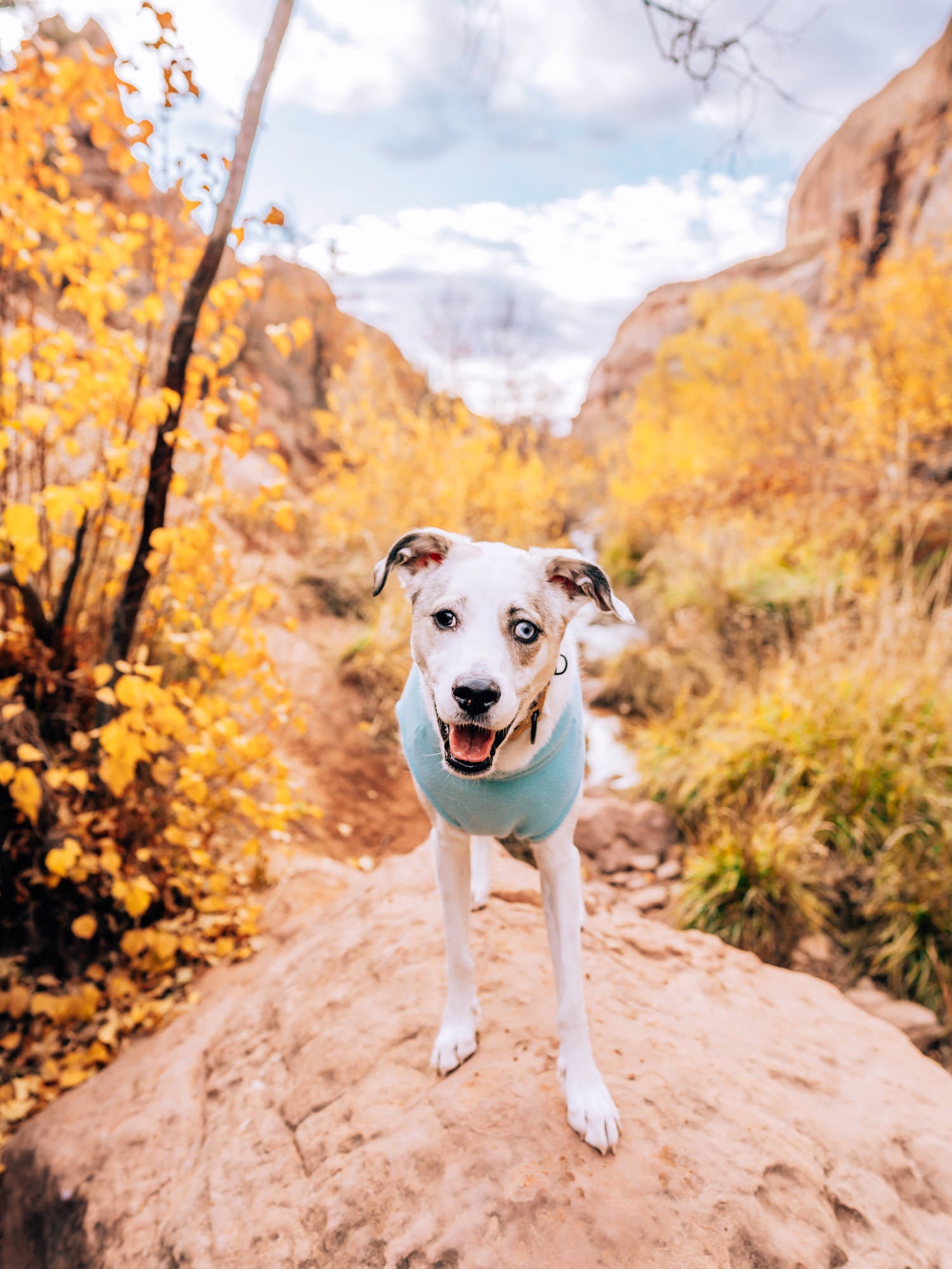 Photo by Susan Brudd. Sony Alpha 7R IV. Sony 24mm f/1.4 G Master. 1/320-sec., f/2.8, ISO 125
