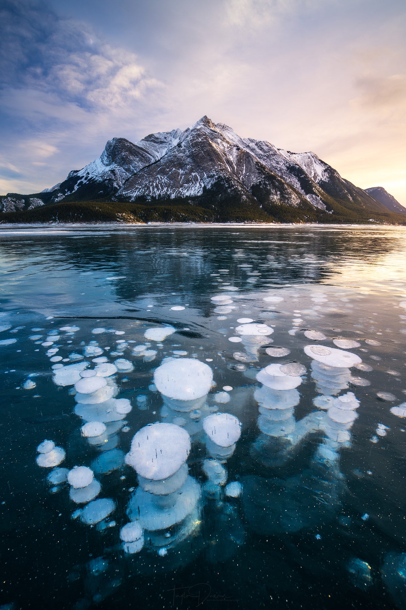 Photo by Taylor Duncan. Alpha 7R IV. 1/60-sec., f/9, ISO 250
