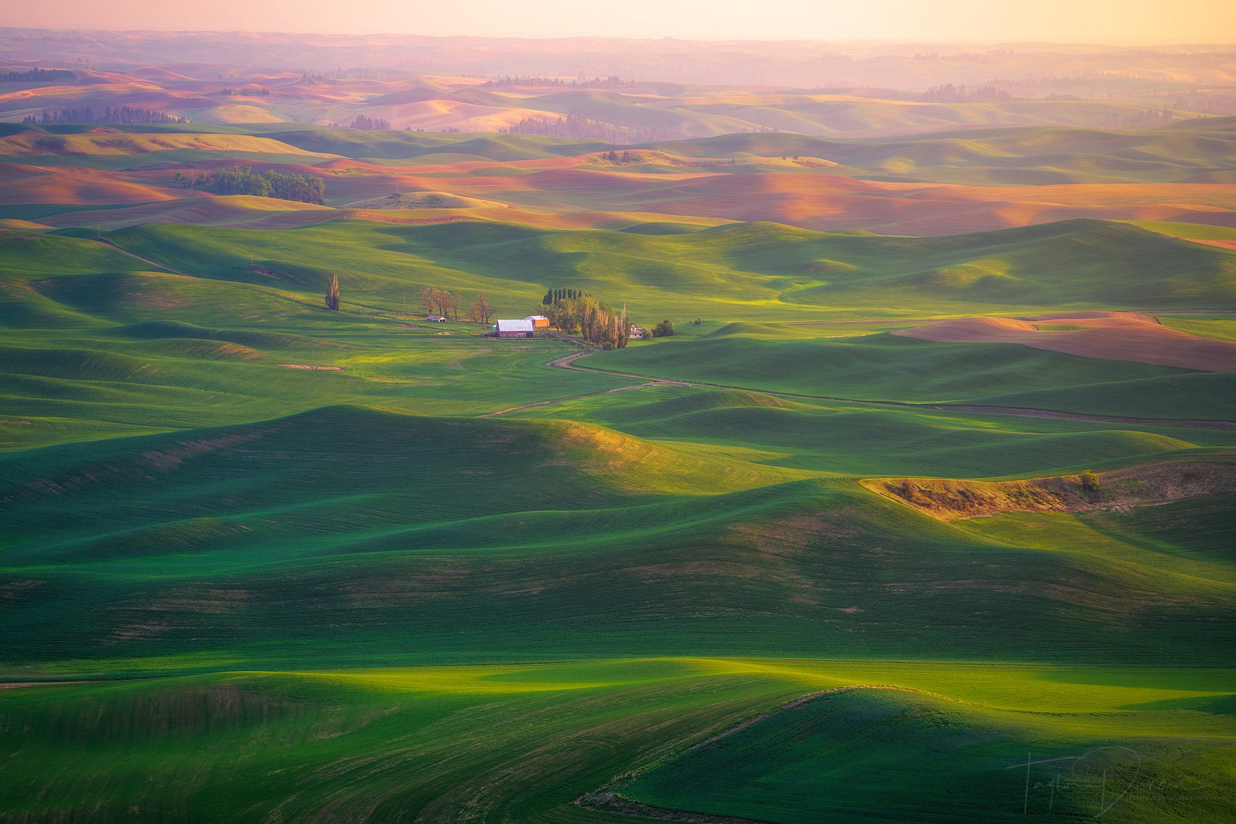 jpg/Alpha-Universe-WIMB-Taylor-Duncan-RollingPalouse-1200_boundsu2nqbu.jpg?height=1200&fit=bounds