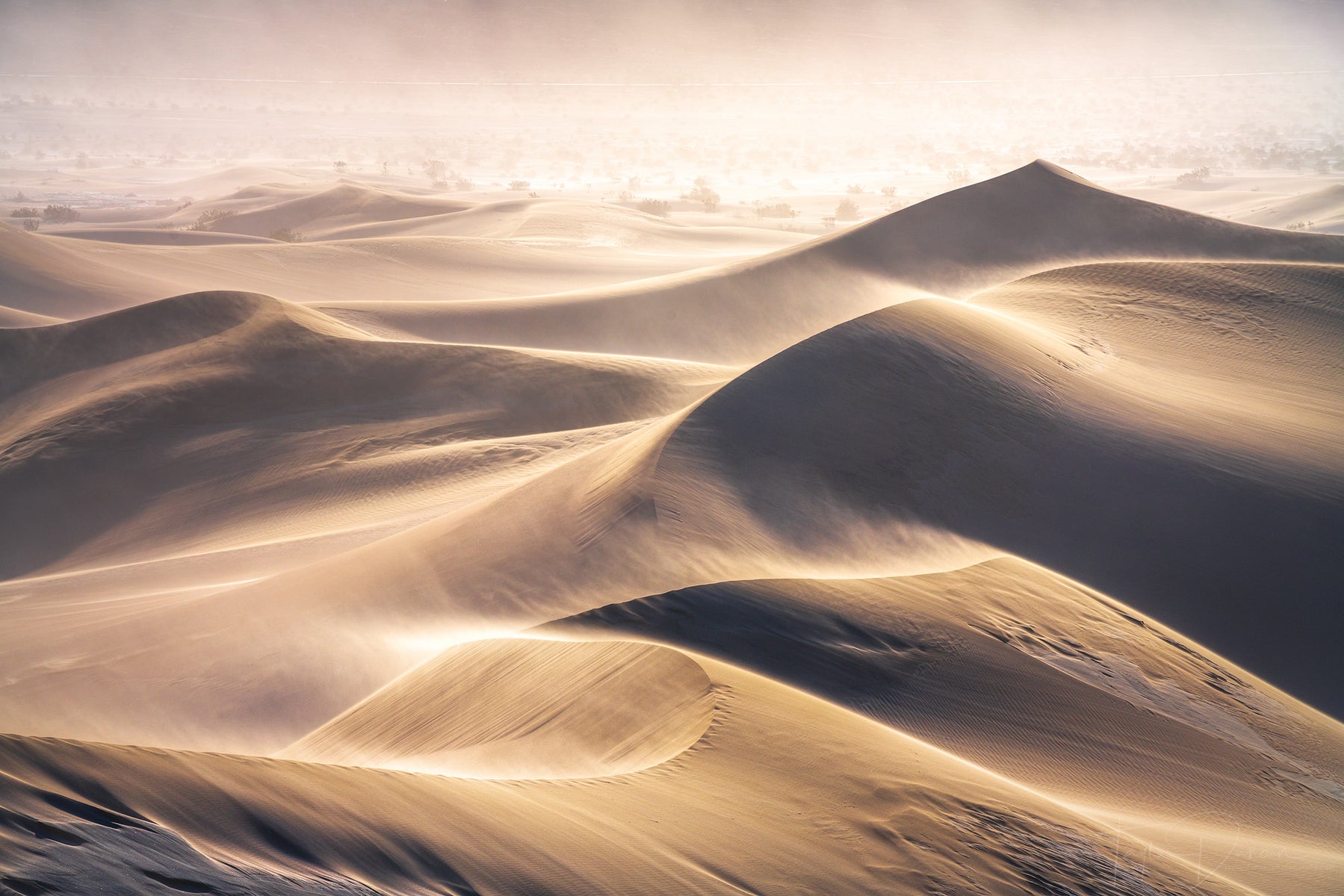 jpg/Alpha-Universe-WIMB-Taylor-Duncan-SeaOfSand-1200_bounds0gf7b8.jpg?height=1200&fit=bounds