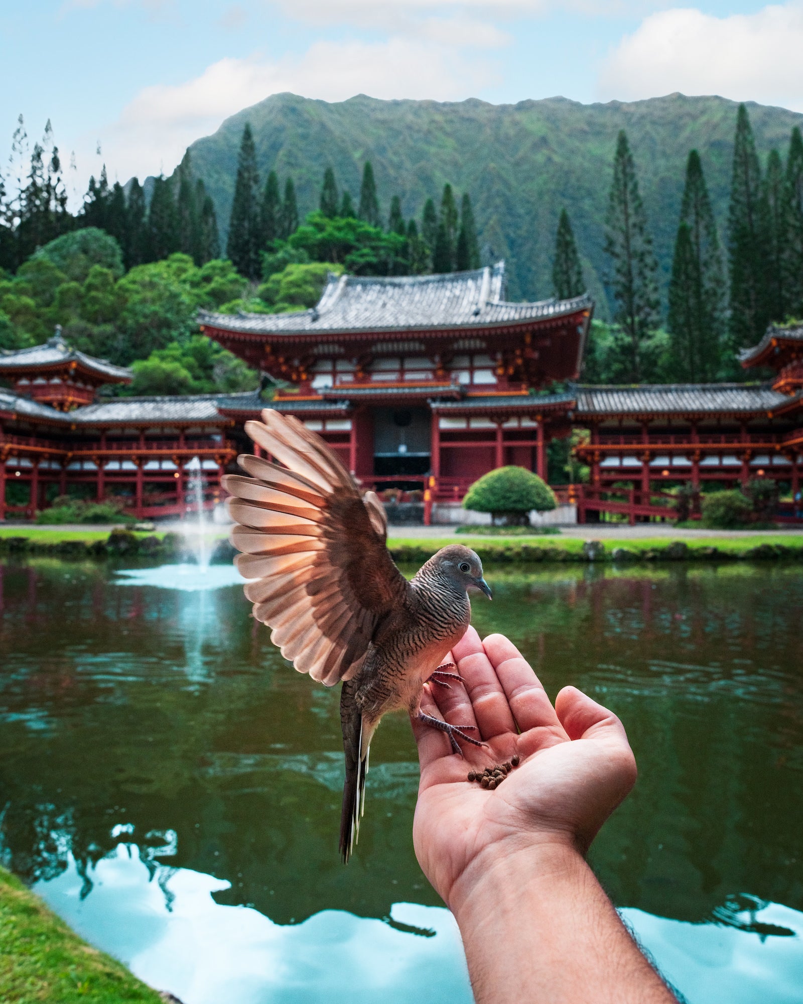 Photo by Anthony Castro. Sony Alpha 1. Sony 24-70mm f/2.8 G Master II. 1/1000-sec., f/10, ISO 500

