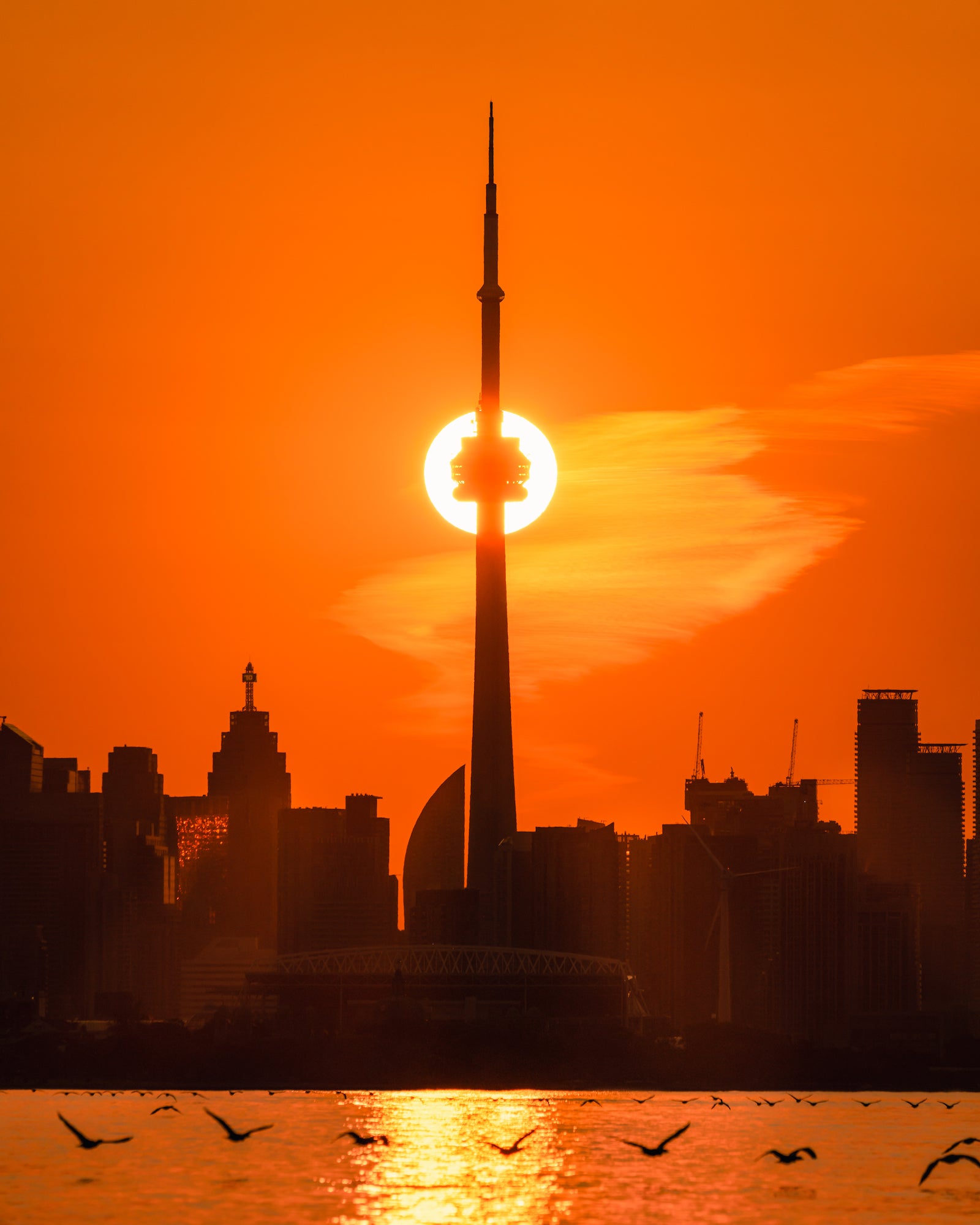 Photo by Tyler McKay. Sony &alpha;7R III. Sony 100-400mm f/4.5-5.6 G Master. 1/1250-sec., f/9, ISO 100