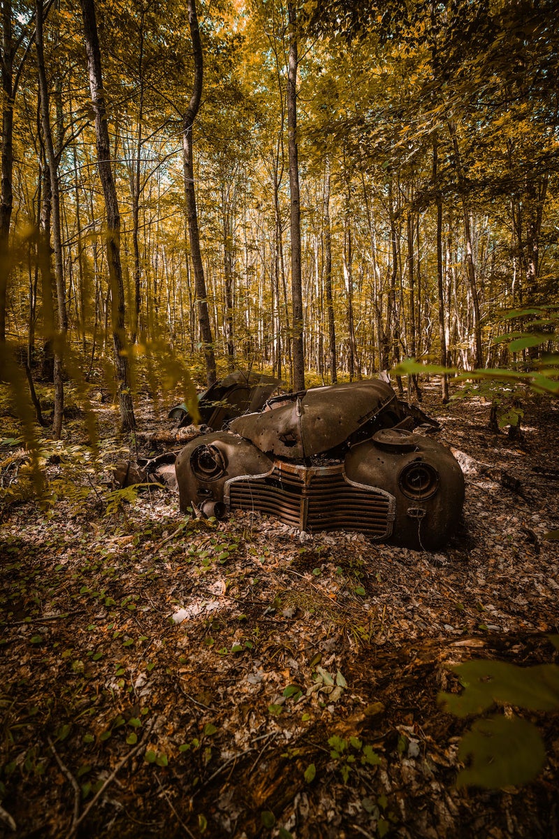 jpg/Alpha-Universe-WIMB-Urbex-Max-Boncina-2-1200_boundsrvdh0y.jpg?height=1200&fit=bounds