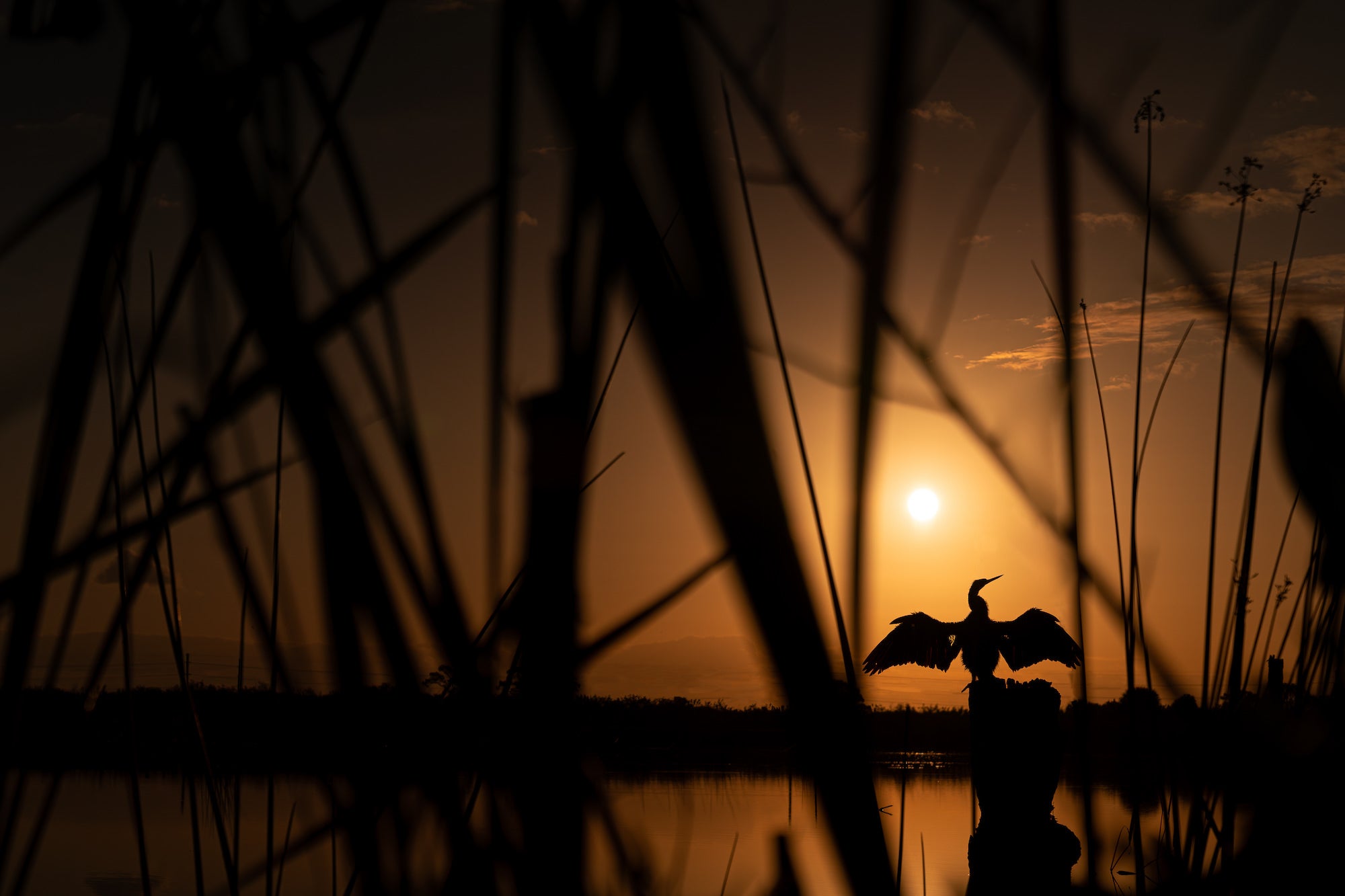 Photo by Vance Solseth. Sony Alpha 7 III. Sony 24-70mm f/2.8 G Master. 