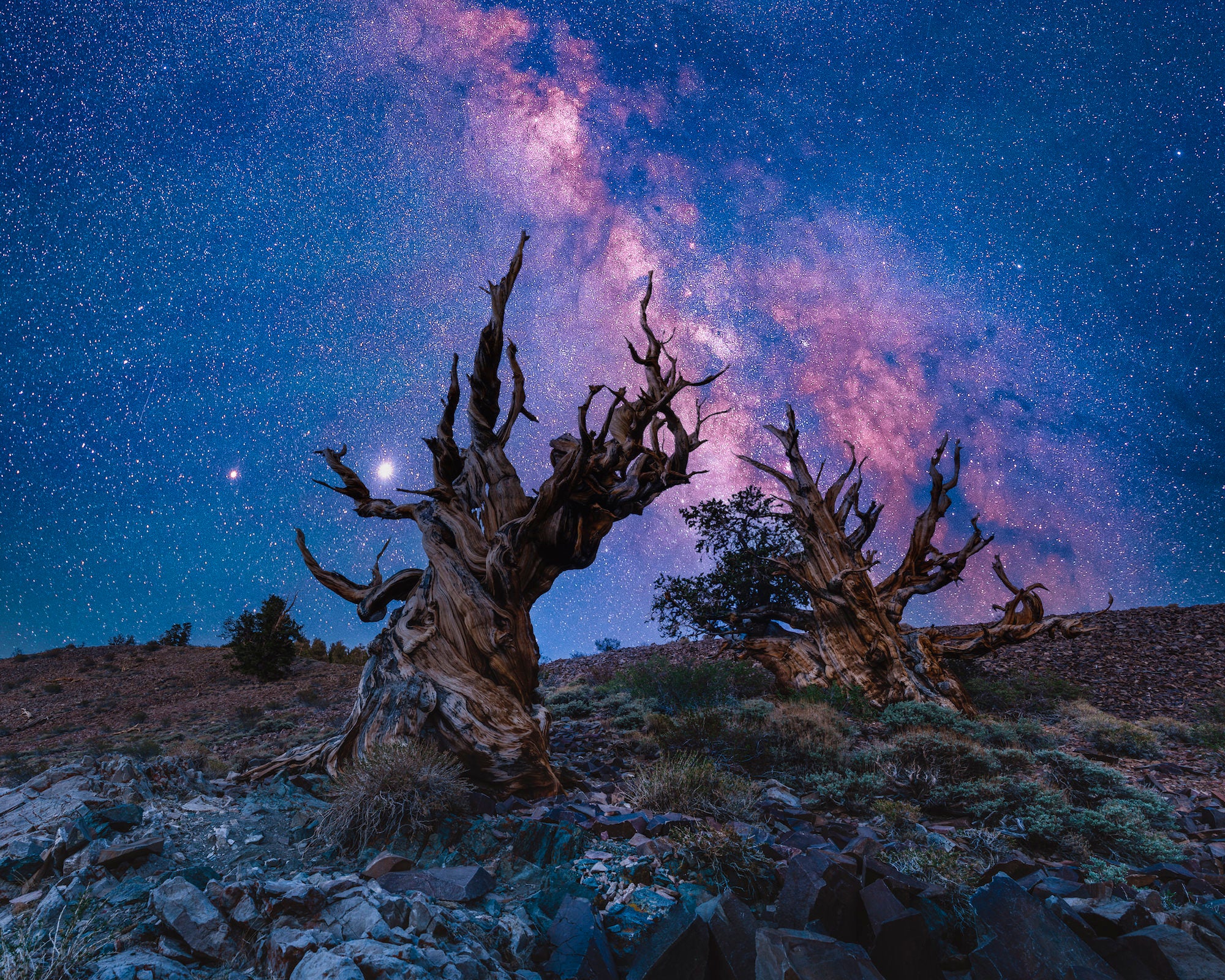Photo by Wolf Mercury. Sony Alpha 7R II. Sony 24-70mm f/2.8 G Master. 3.2-sec., f/11, ISO 100