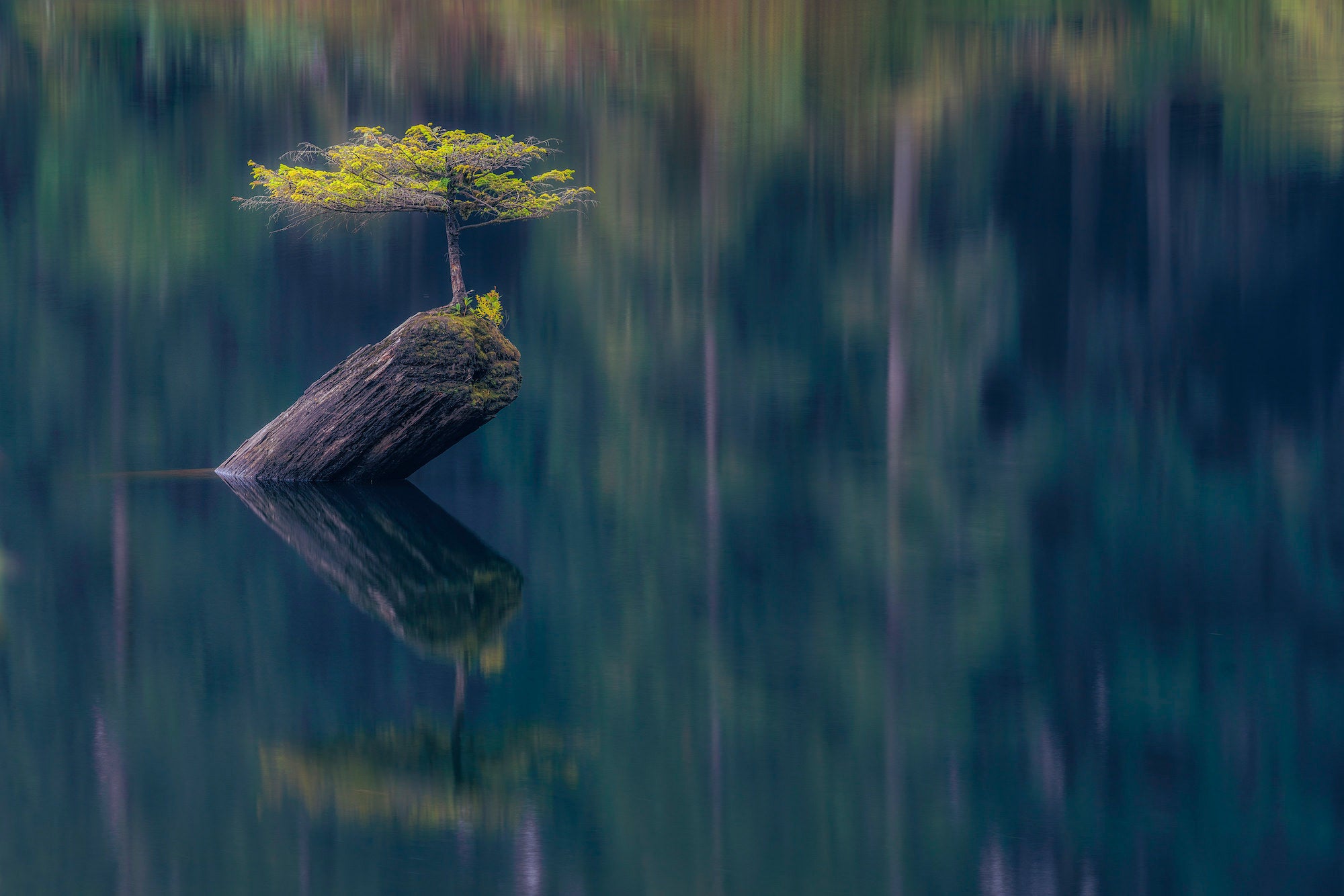 Photo by Wolf Mercury. Sony Alpha 7R II. Sony 70-200mm f/2.8 G Master. 4-sec., f/11, ISO 100