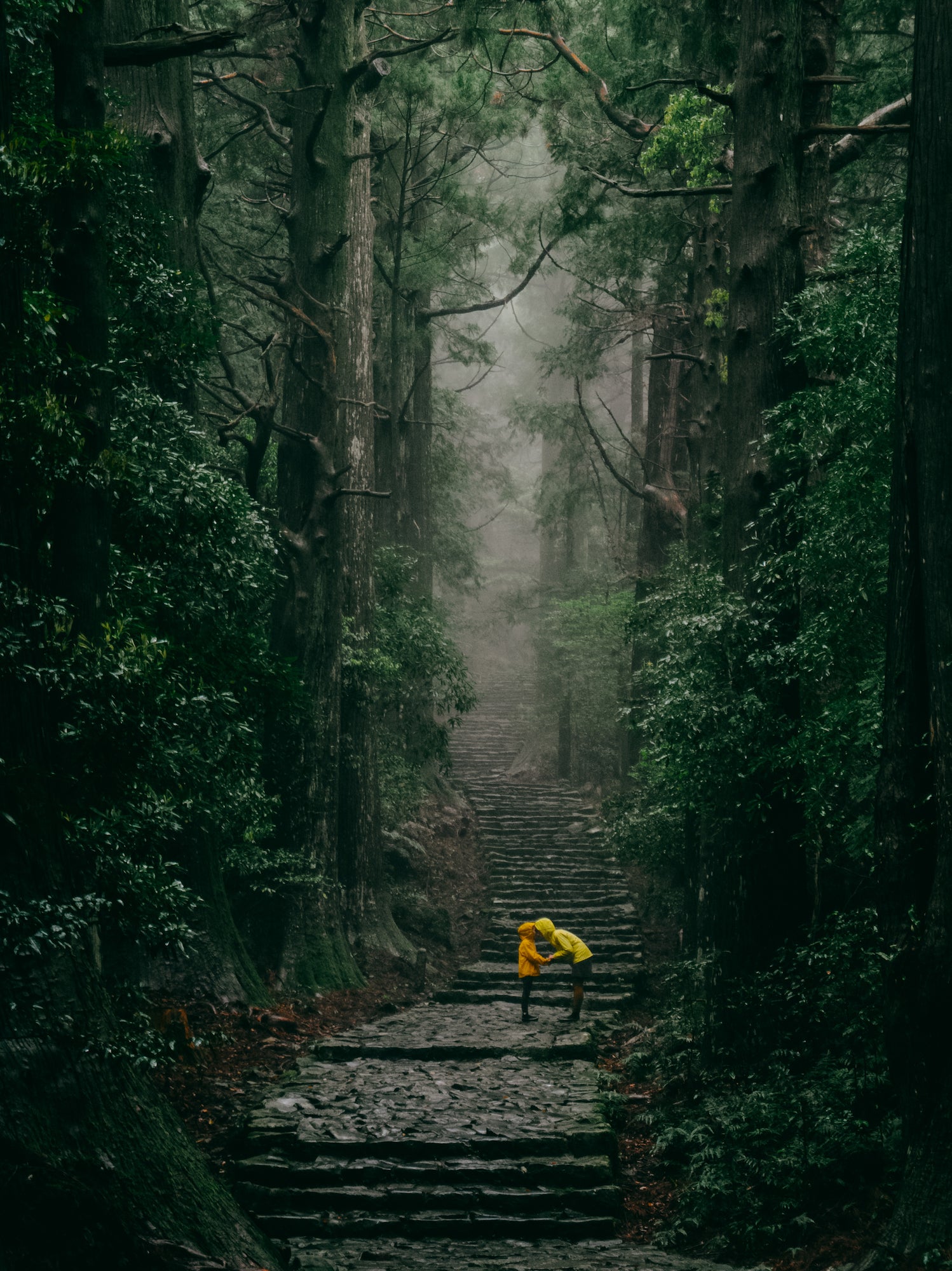 Alpha-Universe-Xperia-1-III-Ippei-Janine-2.jpg