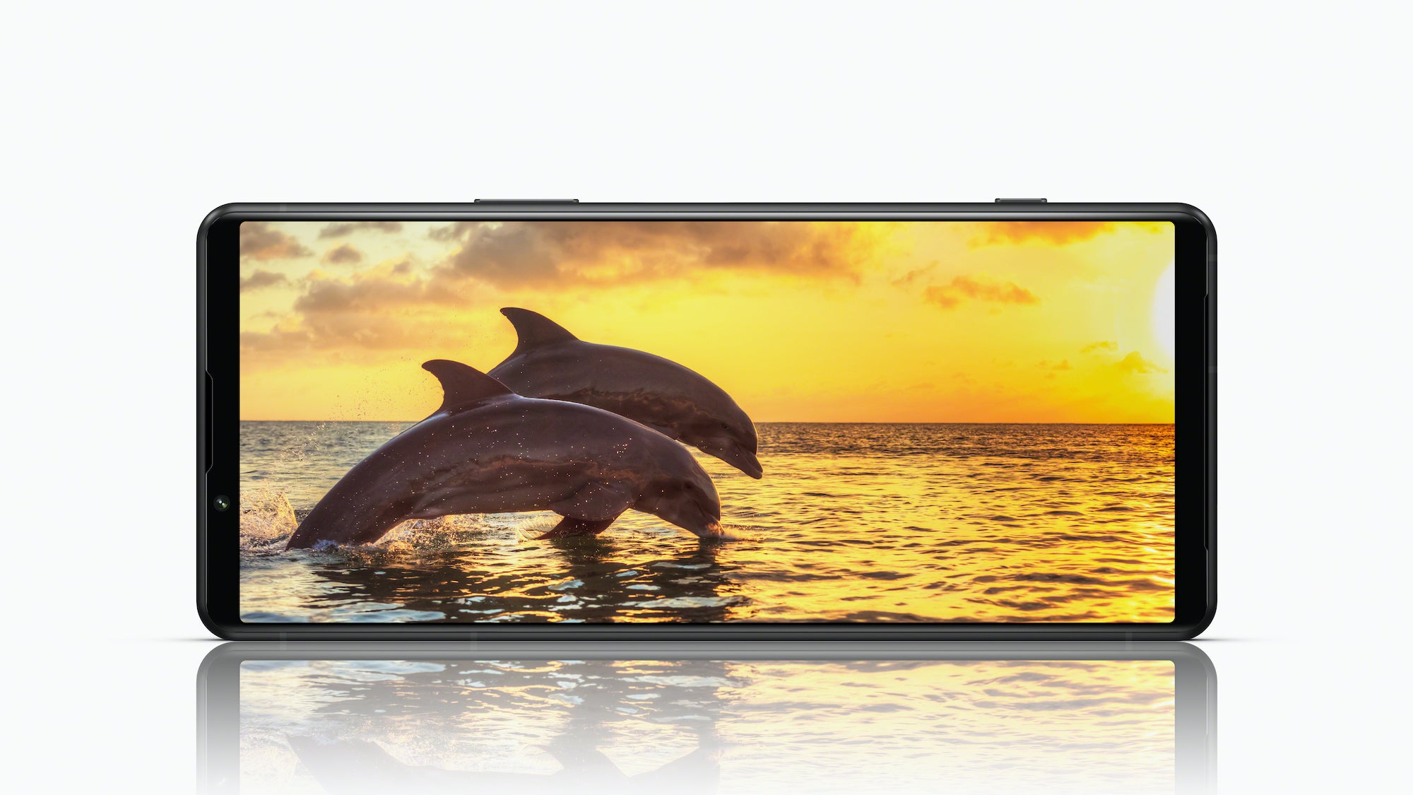 Alpha-Universe-Xperia-5-IV_displayMain.jpg