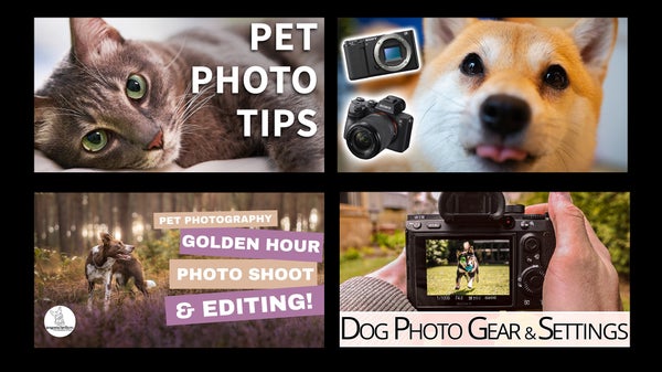 Story Header Image