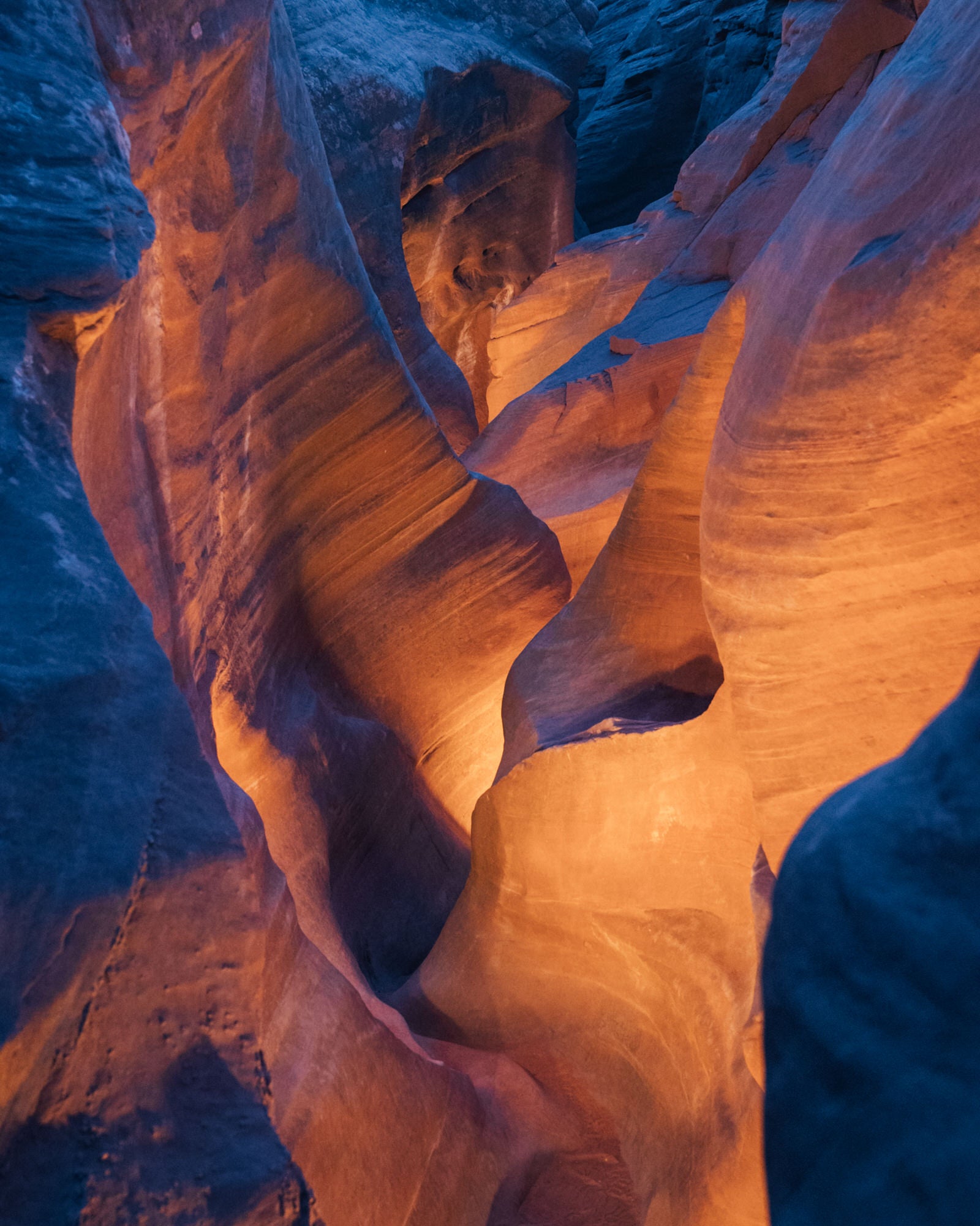Alpha-Universe-photo-by-Erin-Sullivan-erinoutdoors-and-Scott-Kranz-scott-kranz-EO-SK-LightPainting4x5-8.jpg