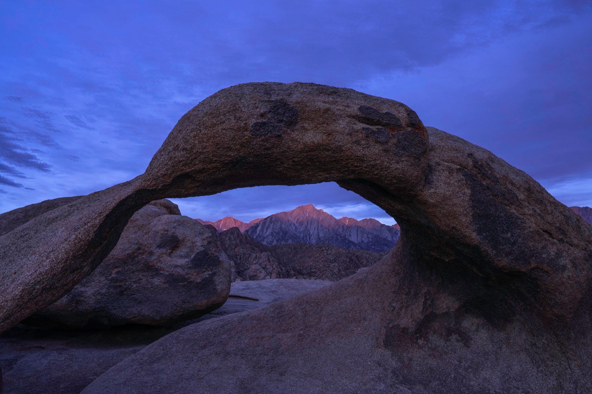 Alpha-Universe-photo-by-Jessica-Santos-missjessbess-Image2_BlueHourForeground.jpg