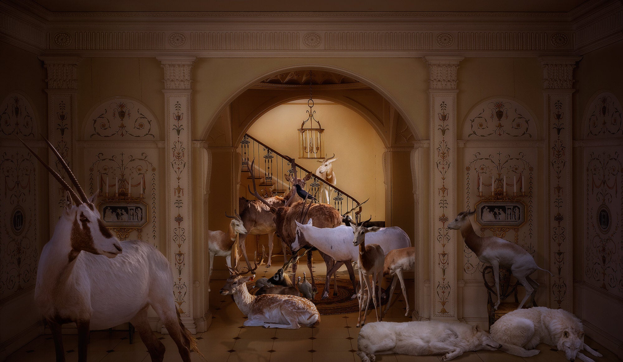 Alpha-Universe-photo-by-Lisa-Frank--Hooved-Animals_-English-Entrance-Hall-of-the-Georgian-Period.BJ9O7p1hv.jpg Alpha-Universe-photo-by-Lisa-Frank--Hooved-Animals_-English-Entrance-Hall-of-the-Georgian-Period.BJ9O7p1hv.jpg