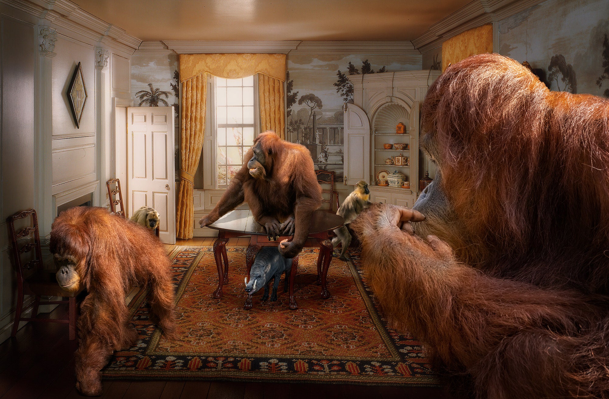 Alpha-Universe-photo-by-Lisa-Frank--Orangutan_-New-Hampshire-Dining-Room-1760.SkebFmTJhw.jpg Alpha-Universe-photo-by-Lisa-Frank--Orangutan_-New-Hampshire-Dining-Room-1760.SkebFmTJhw.jpg