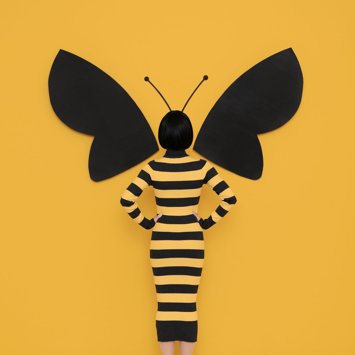 jpg/Alpha-Universe-photo-by-Luisa-Del-Valle-Bee-1200_bounds34ow2n.jpg?height=1200&fit=bounds