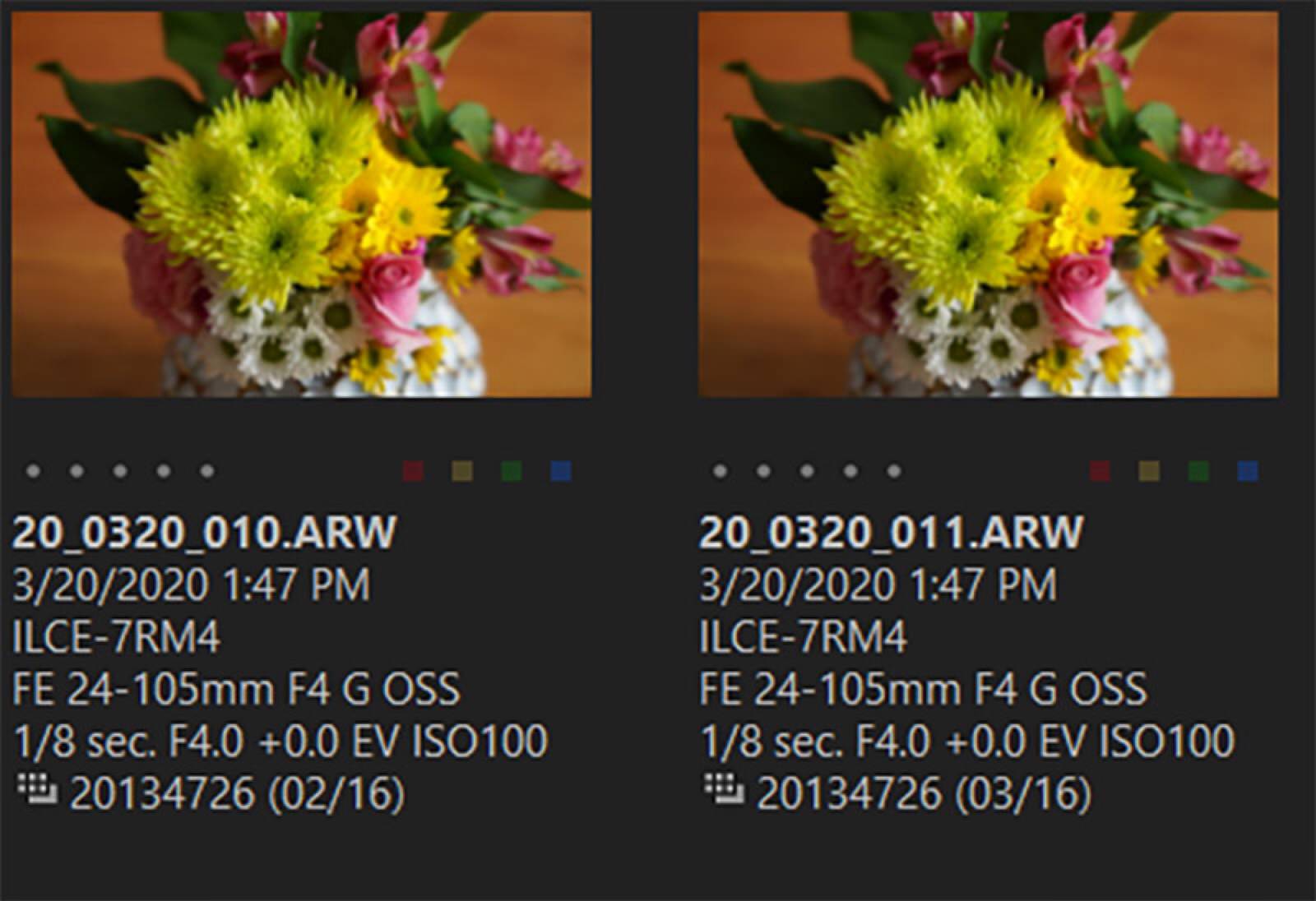 Alpha-Universe-photo-by-Tony-Gale-Sony-Pixel-Shift-Explained-1-8.jpg