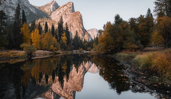 Landscape.jpg