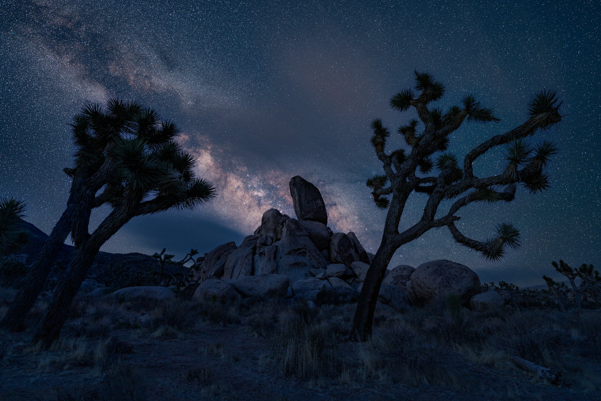 Sony-Alpha-Universe-Photo-By-Stan-Moniz-14mm-F18-GM-4.jpg