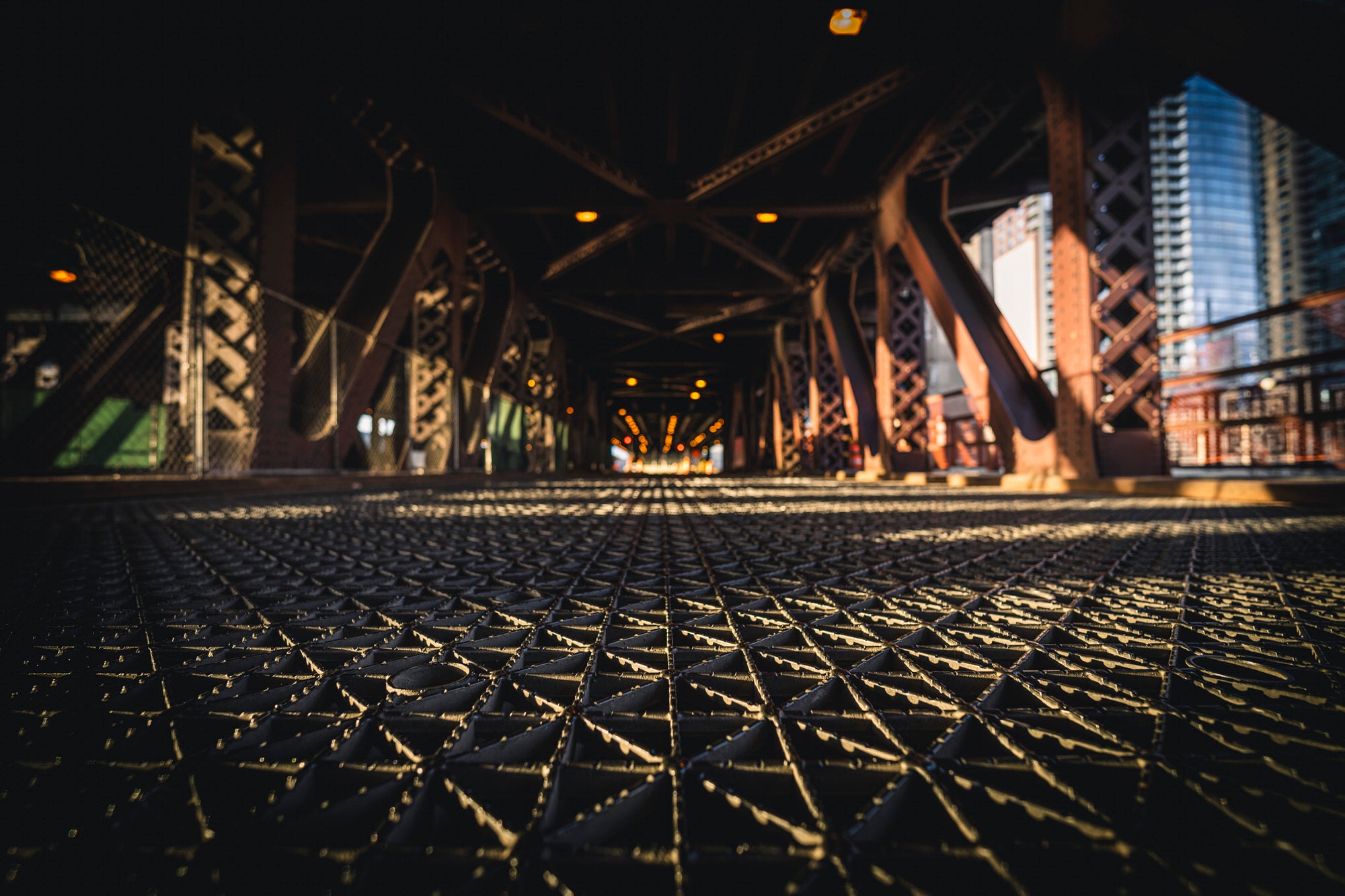 Sony-Alpha-Universe-Photo-By-Tobi-Shinobi-14mm-F18-GM_A1_0214.jpg