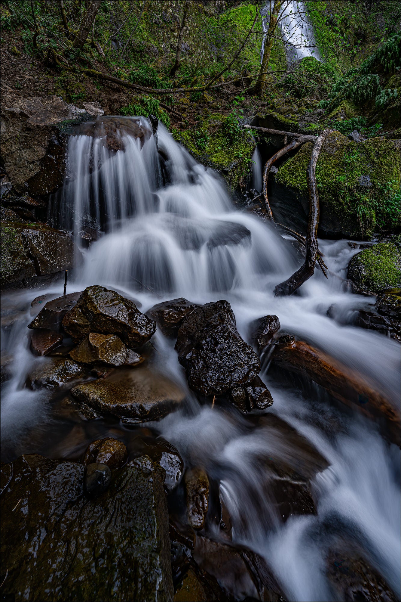 Sony-Alpha-Universe-Photo-by-Gary-Hart-14mm-GM-a7SIIIStarvationCreek-2.jpg
