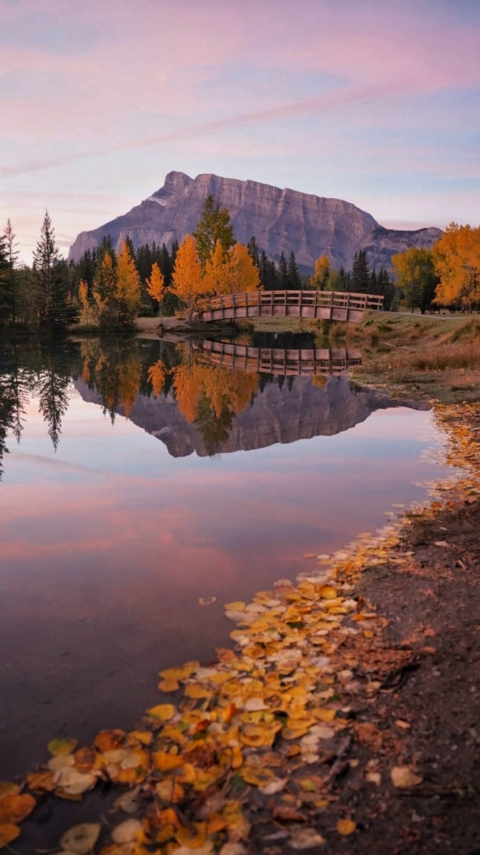 jpg/Week-27-Fall-Vibes-Kim-Tannas.SkkbWKN6Je-1200_bounds8dsi3w.jpg?height=1200&fit=bounds