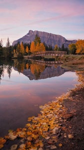 Kim Tannas is our “Fall Vibes” theme micro-grant winner.