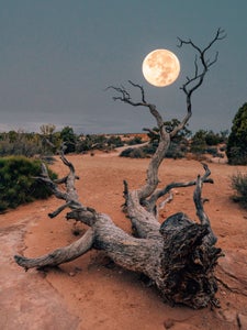 Susan Brudd is our “Lunar Landscape” theme micro-grant winner.